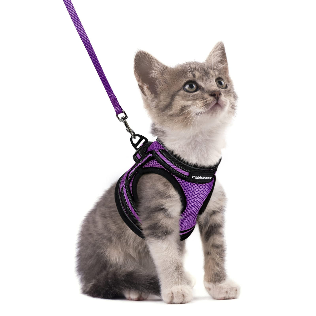 Rabbitgoo Cat Harness And Leash Set For Walking Escape Proof, Adjustable Soft Kittens Vest With Reflective Strip For Cats, Comfortable Outdoor Vest, Purple, S