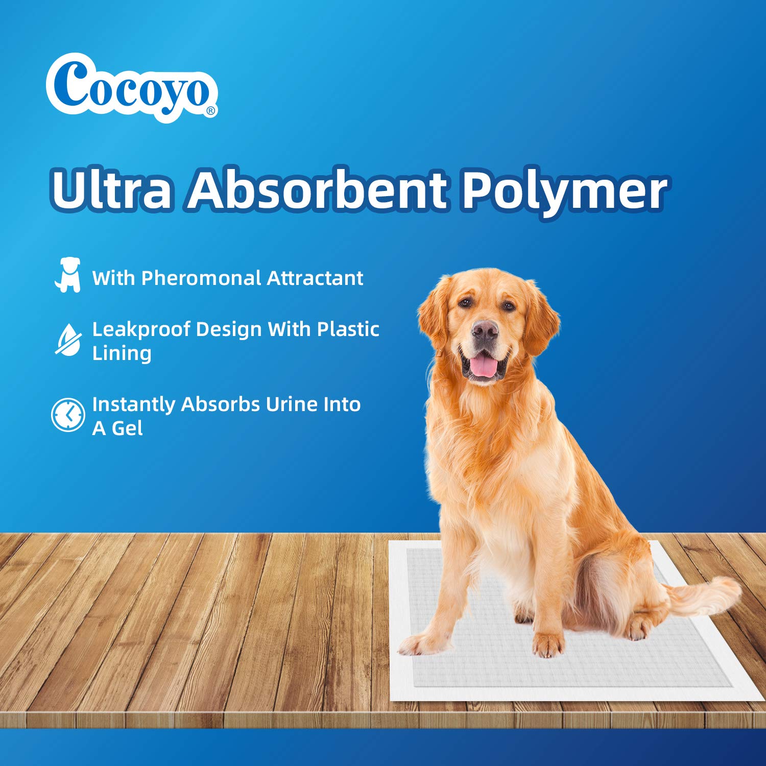 Cocoyo Best Value 22''X22'' Dog Training Pads 50 Count | Dog Pee Pads | Super Absorbent Puppy Pads