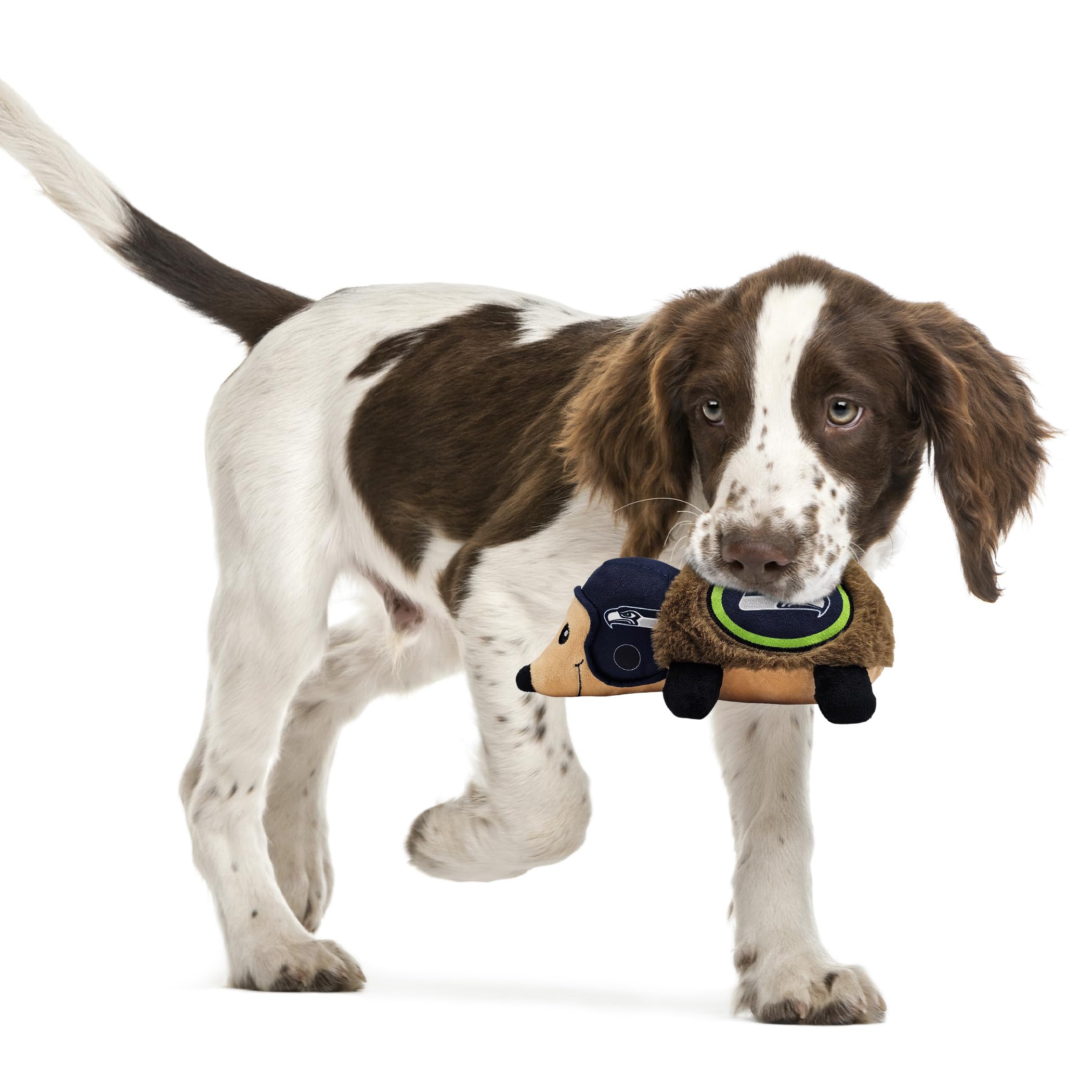 Nfl Seattle Seahawks Plush Hedgehog Toy For Dogs & Cats, Cool Soft Pet Toy For Fun And Interactive Play, Dog Chew Toy With Squea