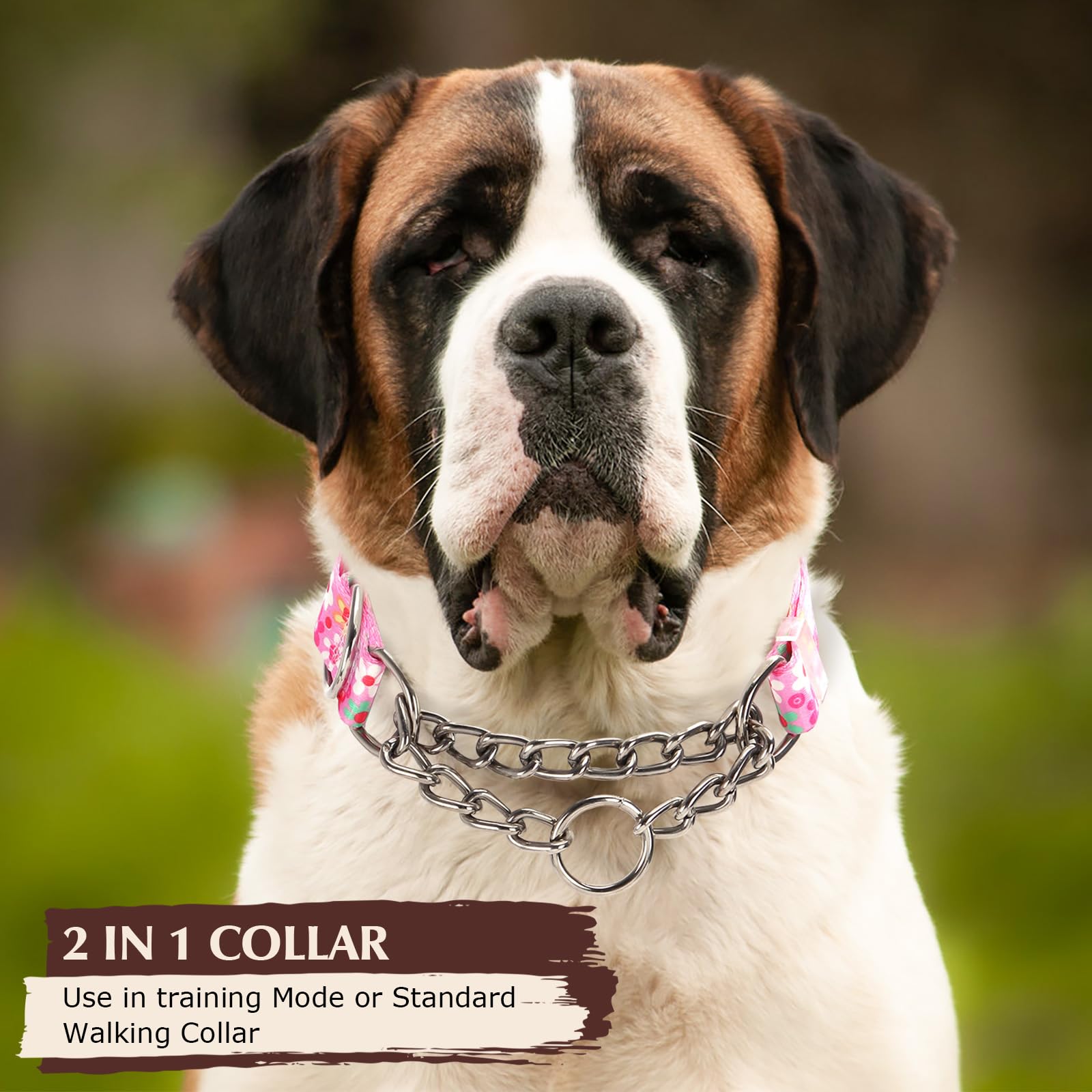 Martingale Collar For Dogs With Nylon & Steel Chain Limited Cinch Design, No Choke Dog Collar With Pink Flower Design, Adjustabl