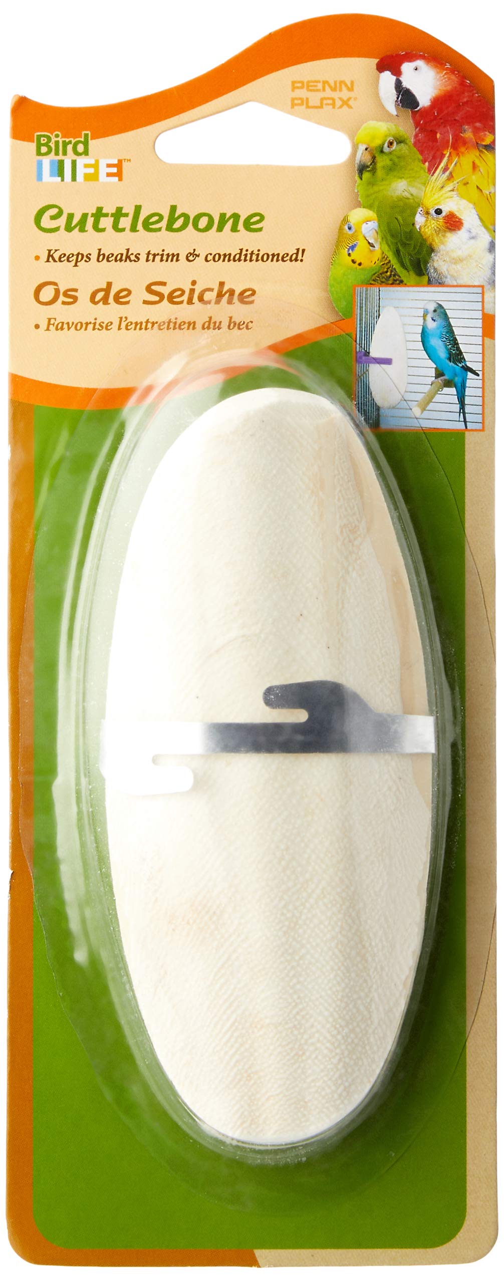 Penn-Plax Cuttlebone for Birds and Parakeets - Natural Cuddlefish Bones for Tortoise and Snails - with Holder - Medium