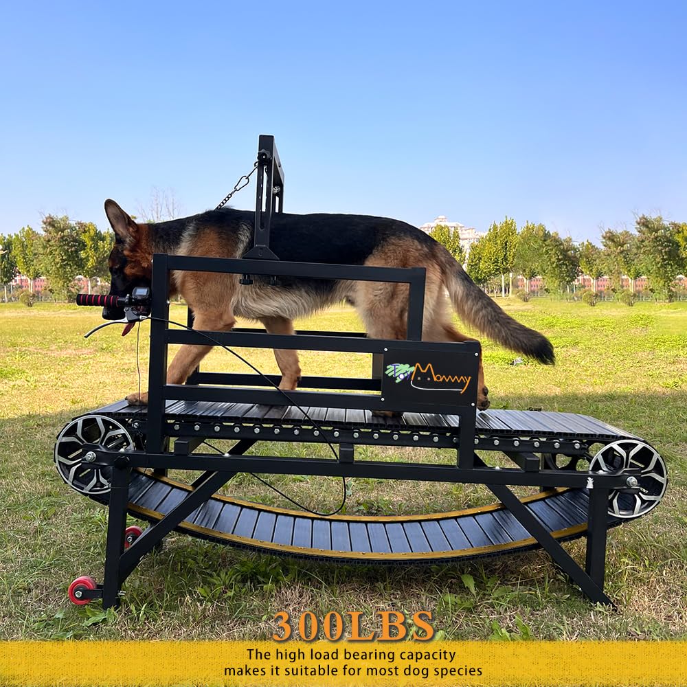 Dog Treadmill With Disc Brake, Resistance Adjustment & Paw-Friendly Pe Slatmill - Heavy Duty Dog Treadmill For Large & Medium Do