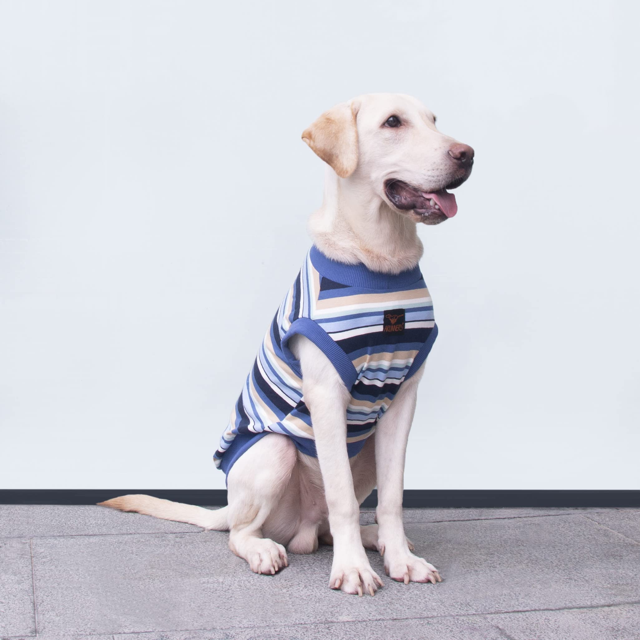 Arunners Extra Large Dog T Shirts Clothes Sleeveless Tank Top Vest For Labrador Rottweiler Great Dane, Blue, 4X-Large