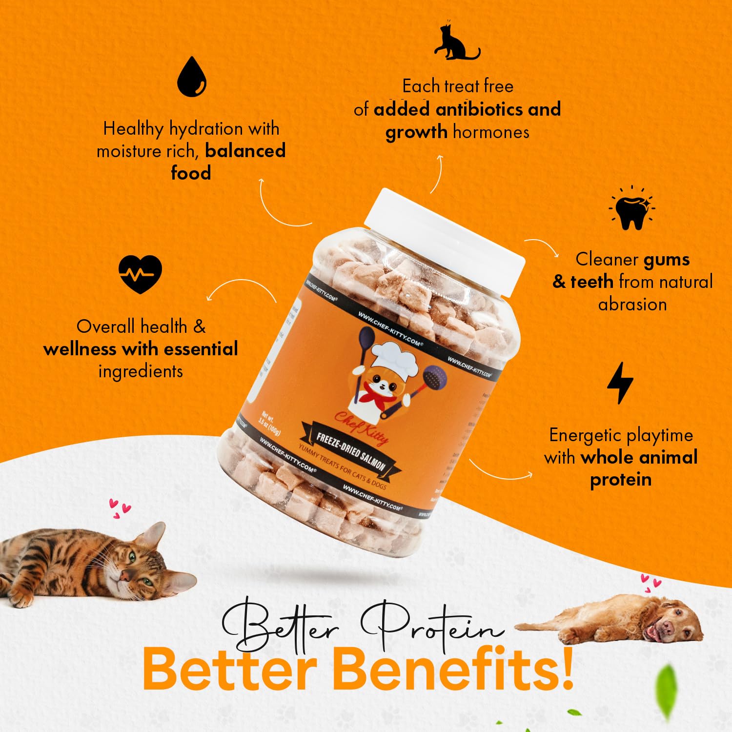 Chef Kitty Freeze Dried Salmon Cat Treats, Grain-Free, High Protein, 2.6 oz - 100% Wild Caught Salmon, No Additives or Preservatives