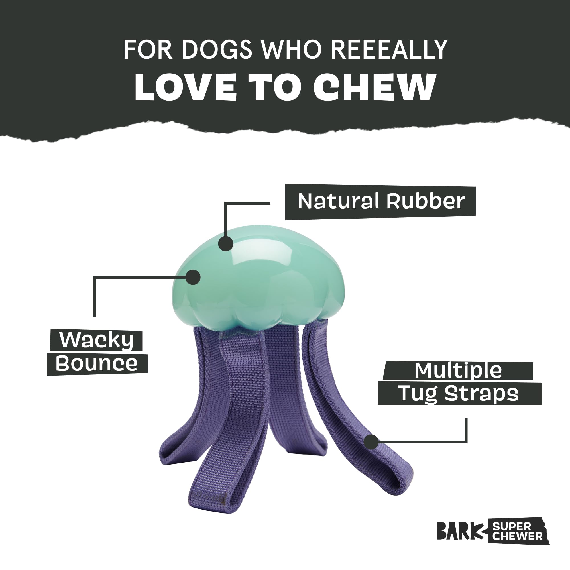 Barkbox Jelly Fetch Dog Toy For Medium Dogs - Perfect For Tug And Fetch Play, Durable Design With Strong Nylon Straps For Long-L