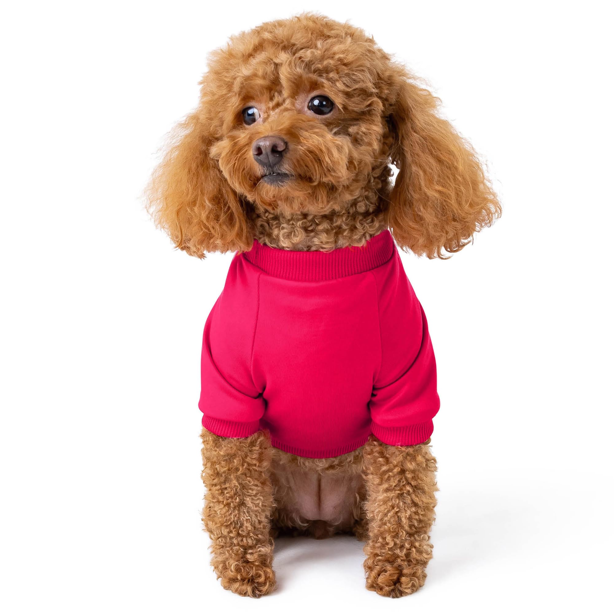 Rocky Thermal Jacket Clothes Fleece Lined Sweater For Dogs, Puppies, Warm Coat Bodysuit Onesie One Piece Vest Pet Jammies With L
