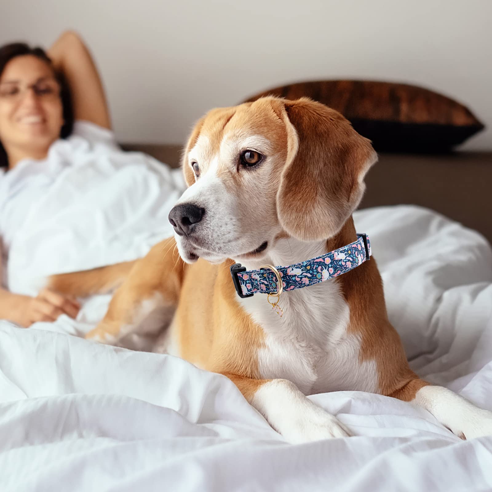 Faygarsle Cotton Designer Dogs Collar For Girl Female Small Medium Large Dogs With Cute Unicorn Charms S