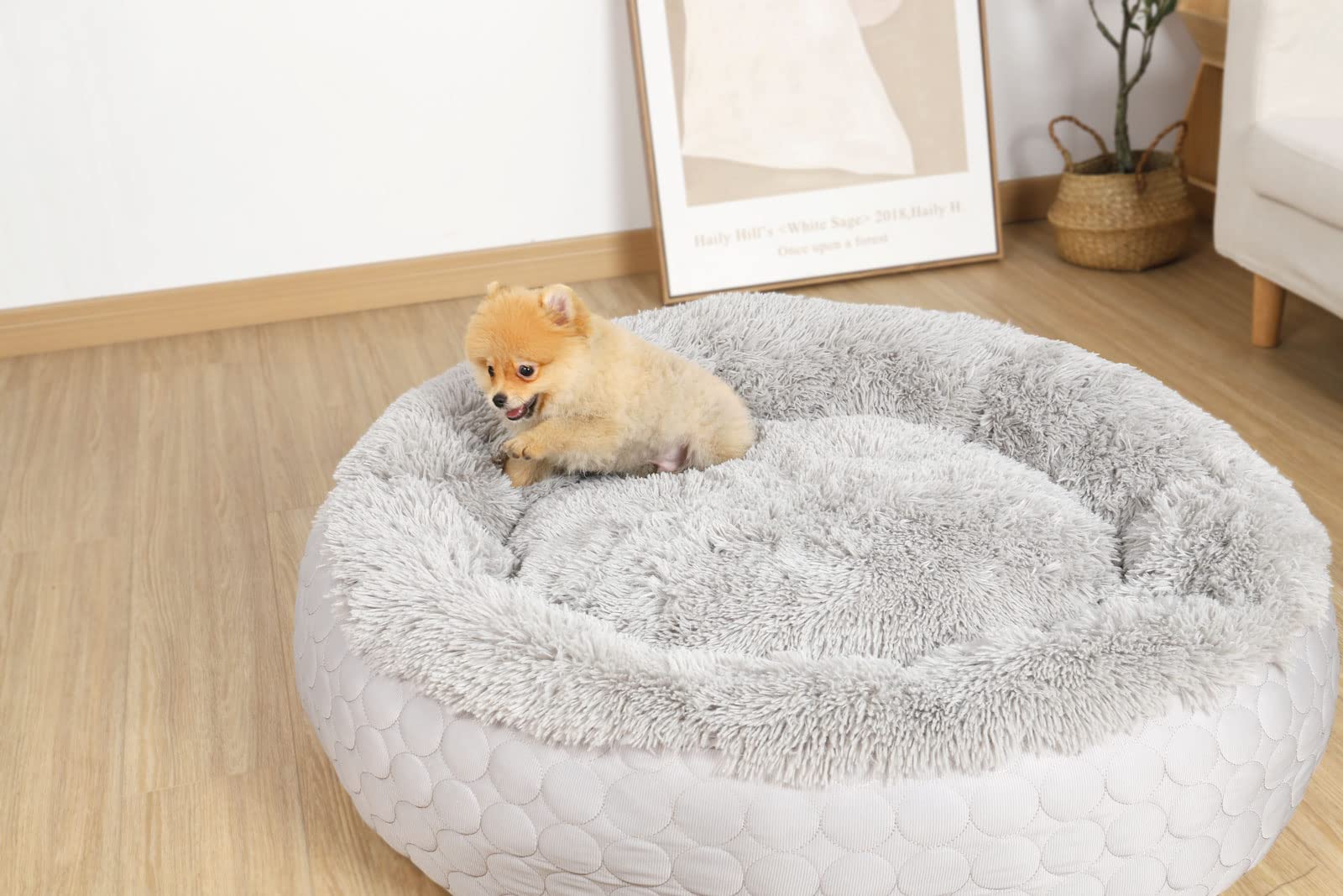 Hachikitty Dog Donut Round Calming Bed, Fluffy Dog Bed For Medium Large Dogs, Cooling Warming Soft Dog Cushion Bed, Double Sided Available Dog Bed With Warm & Cool Sides(30'X30'X9', Grey)