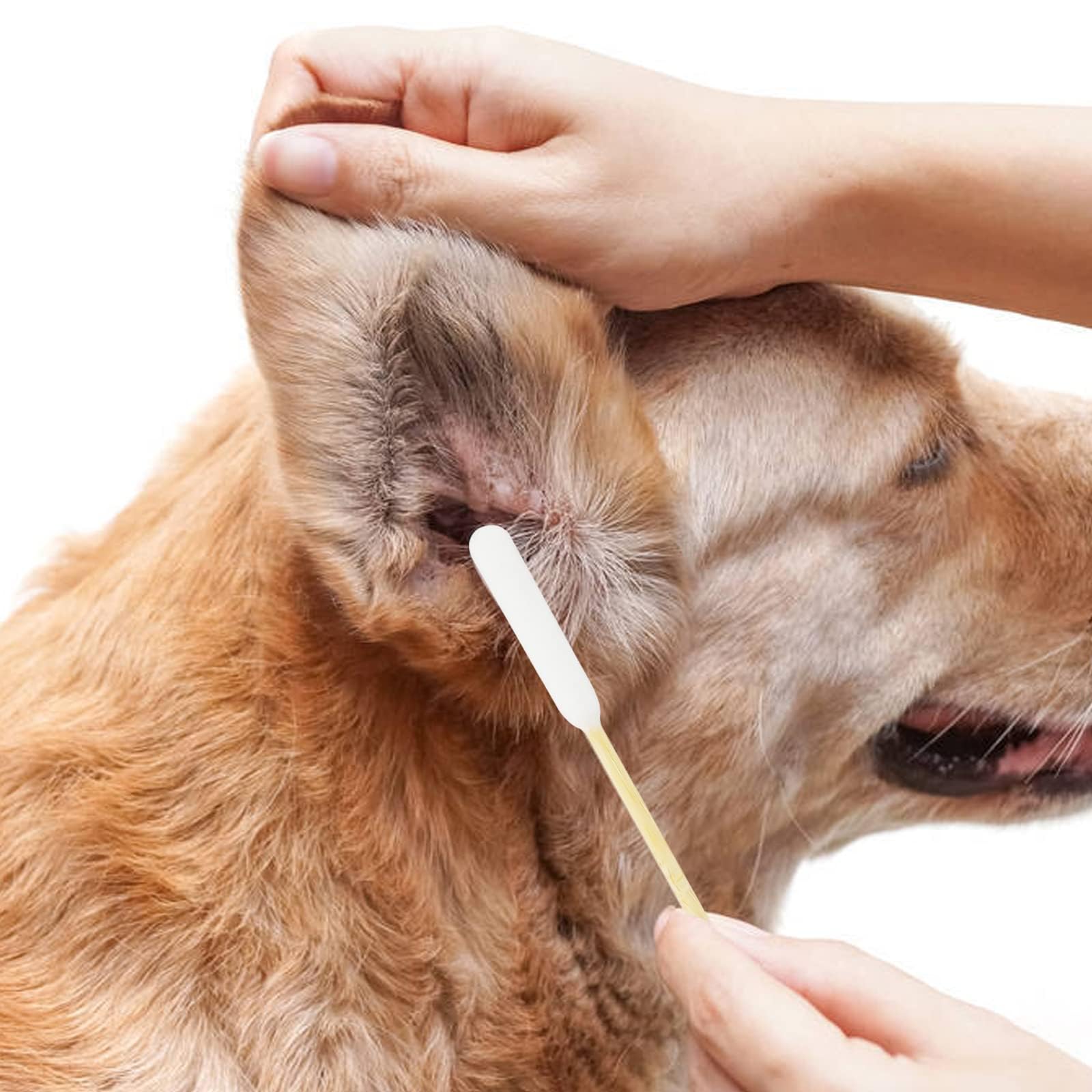 AkoSlale Long Cotton Swabs for Dog Ear Cleaning, 500pcs, 4.7 Inch Biodegradable Cotton Tips, Pet Ear Care & Wound Treatment, Eco