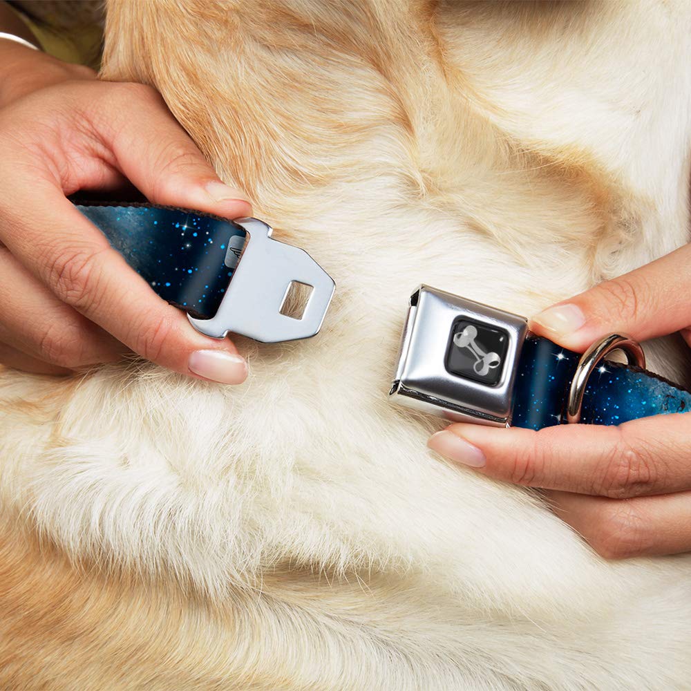 Buckle-Down Dog Collar Seatbelt Buckle Galaxy Blues Blues 11 To 17 Inches 1.0 Inch Wide, Multicolor (Dc-W30762-M)