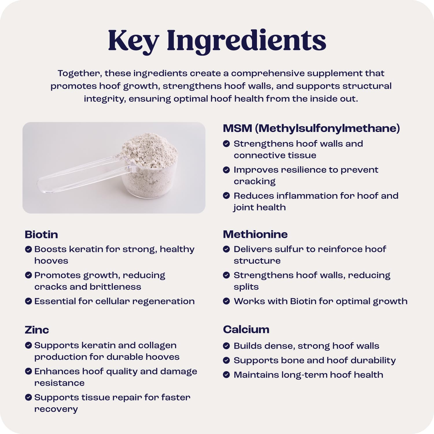 Summit Equine Hoof Strength Powder for Horses, Promotes Healthy Hooves with Biotin, Amino Acids, and Minerals, Horse Hoof Supple