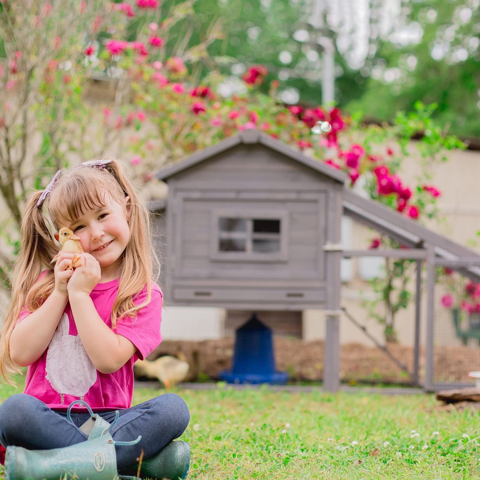 Aivituvin Wooden Chicken Coop Hen House, Outdoor Large Rabbit/Bunny Hutch, Small Animal Cage (Grey)