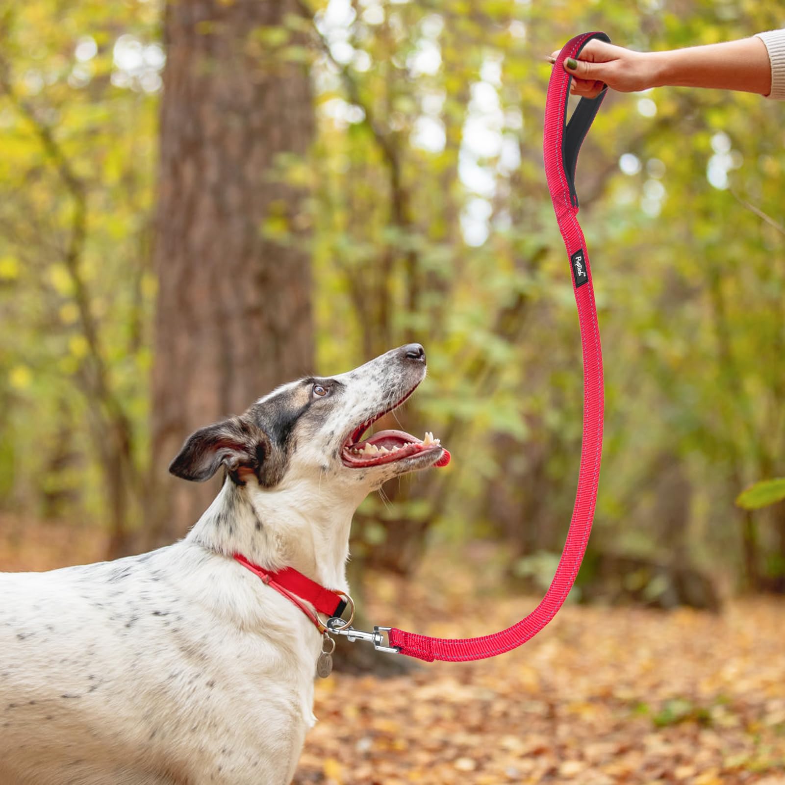 Pupteck Reflective Short Dog Leash - 3 Packs 2.5Ft/ 1.5Ft/ 1Ft Nylon Dog Leash With Strong Clip, And Soft Padded Handle, Durable Training Leash For Small Medium Large Dogs Cats Walking Outside Red