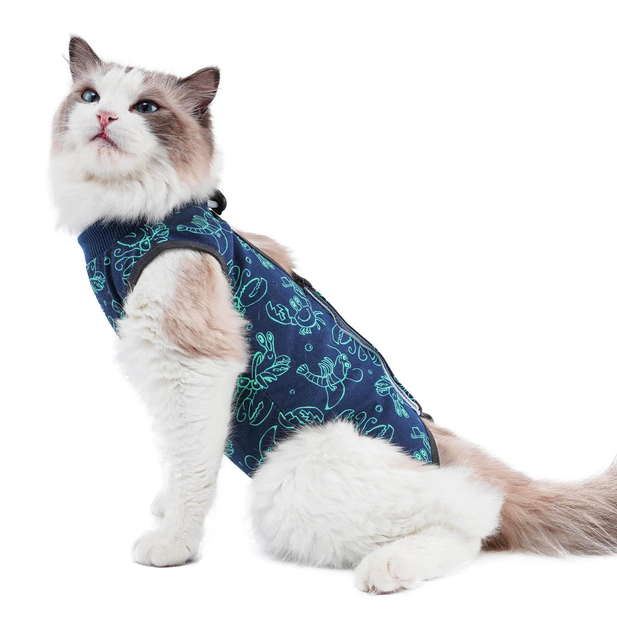 Kzrfojy Cat After Surgery Recovery Suit / Onesie For Surgical Abdominal Wound Or Skin Diseases E-Collar Alternative Wear Cat Neu