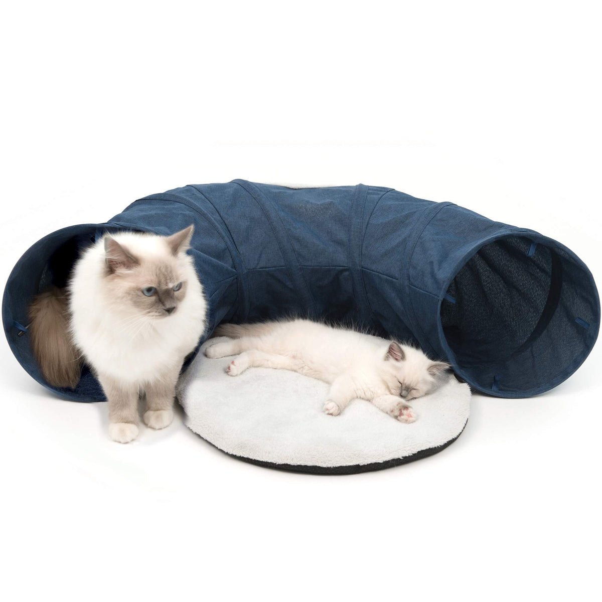 Catit Vesper Cat Tunnel, Cat Toy, Blue, 41995