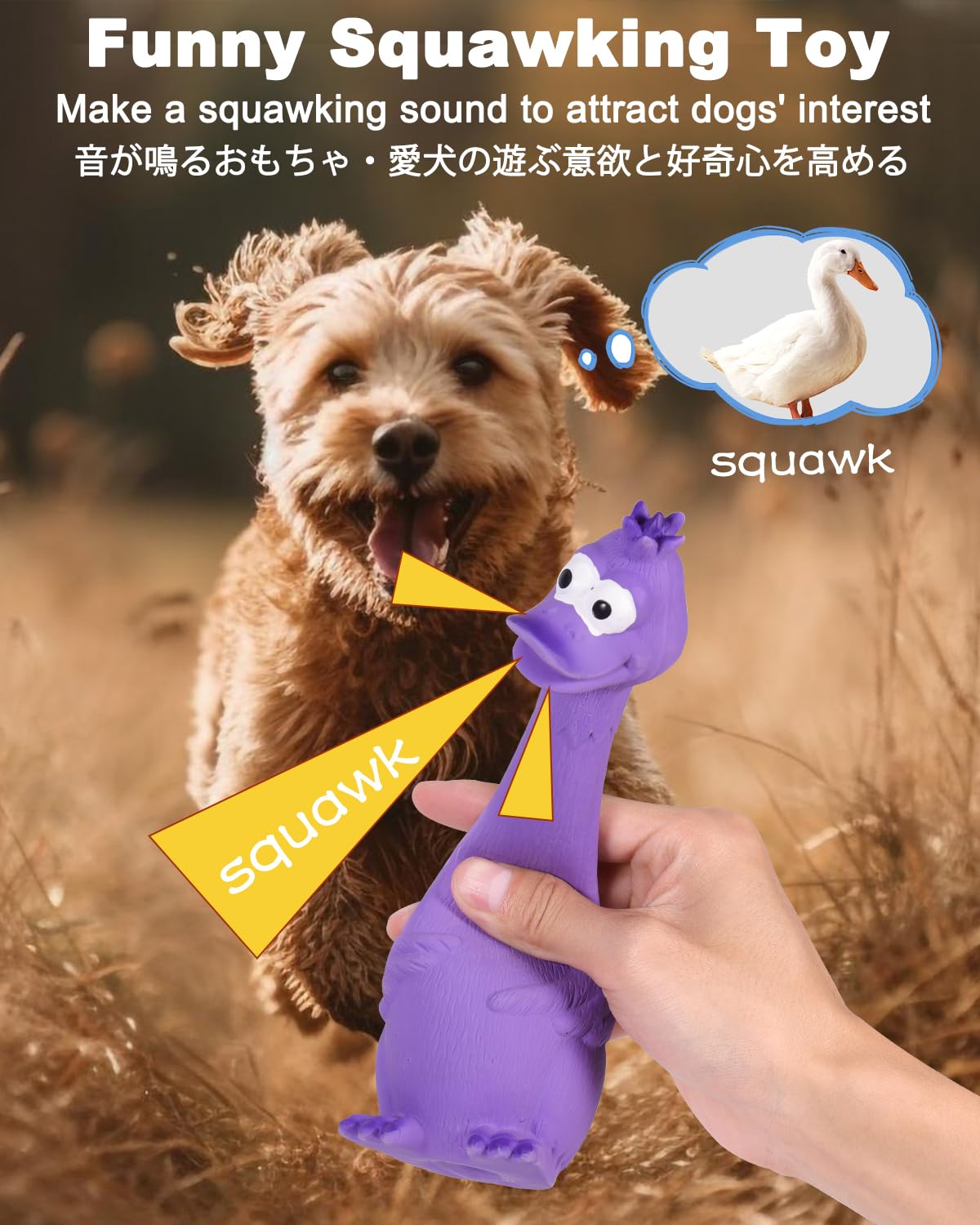 SCHITEC Squeaky Dog Toys, [2 Pack] Squawking Latex Toy with Interactive Squeaker, Squeak Rubber Duck Chicken for Medium Small Do