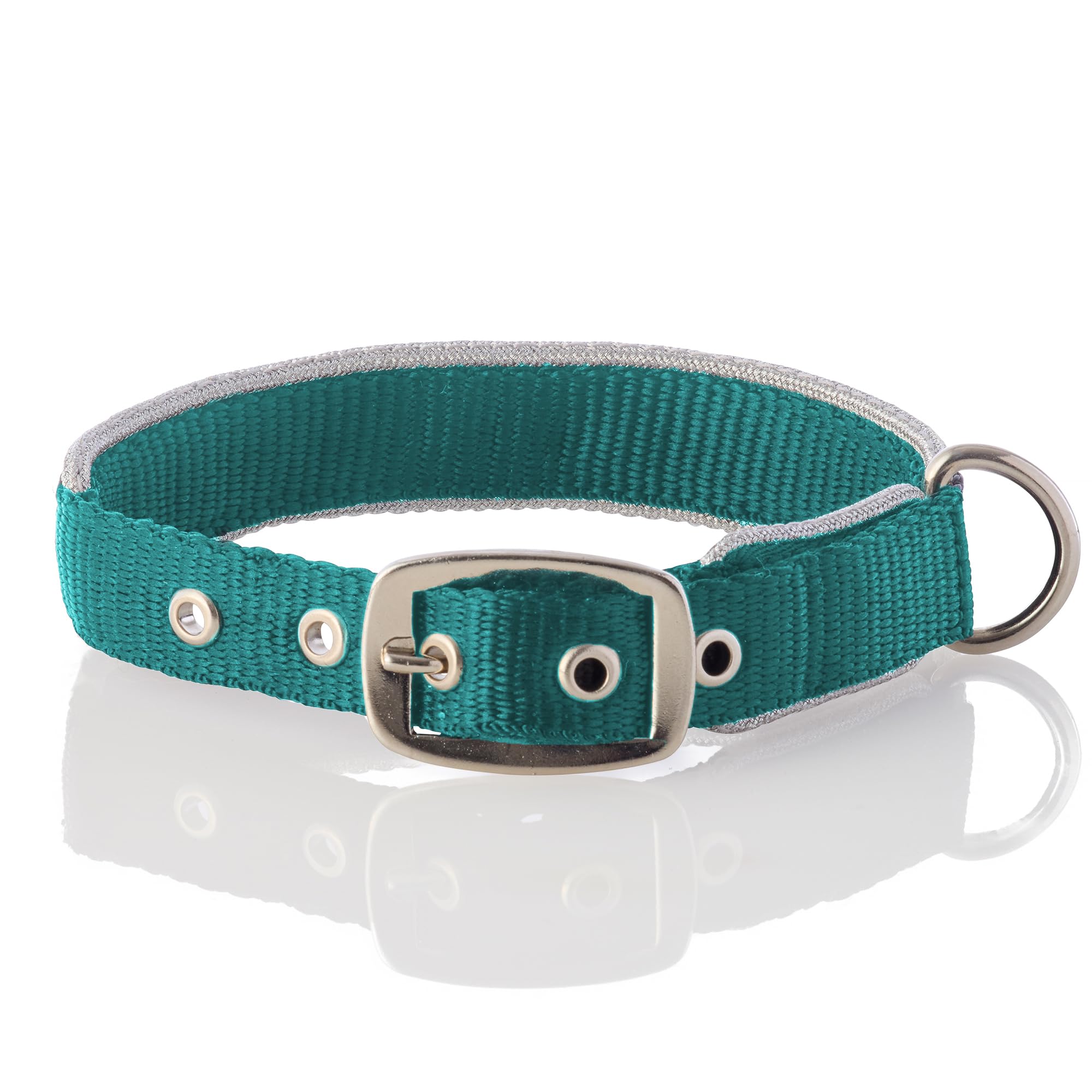 Pet Passion Adjustable Silver Trimmed Dog Collar For Pets Small, Medium And Large Dogs, Silver/Turquoise, Xx-Large