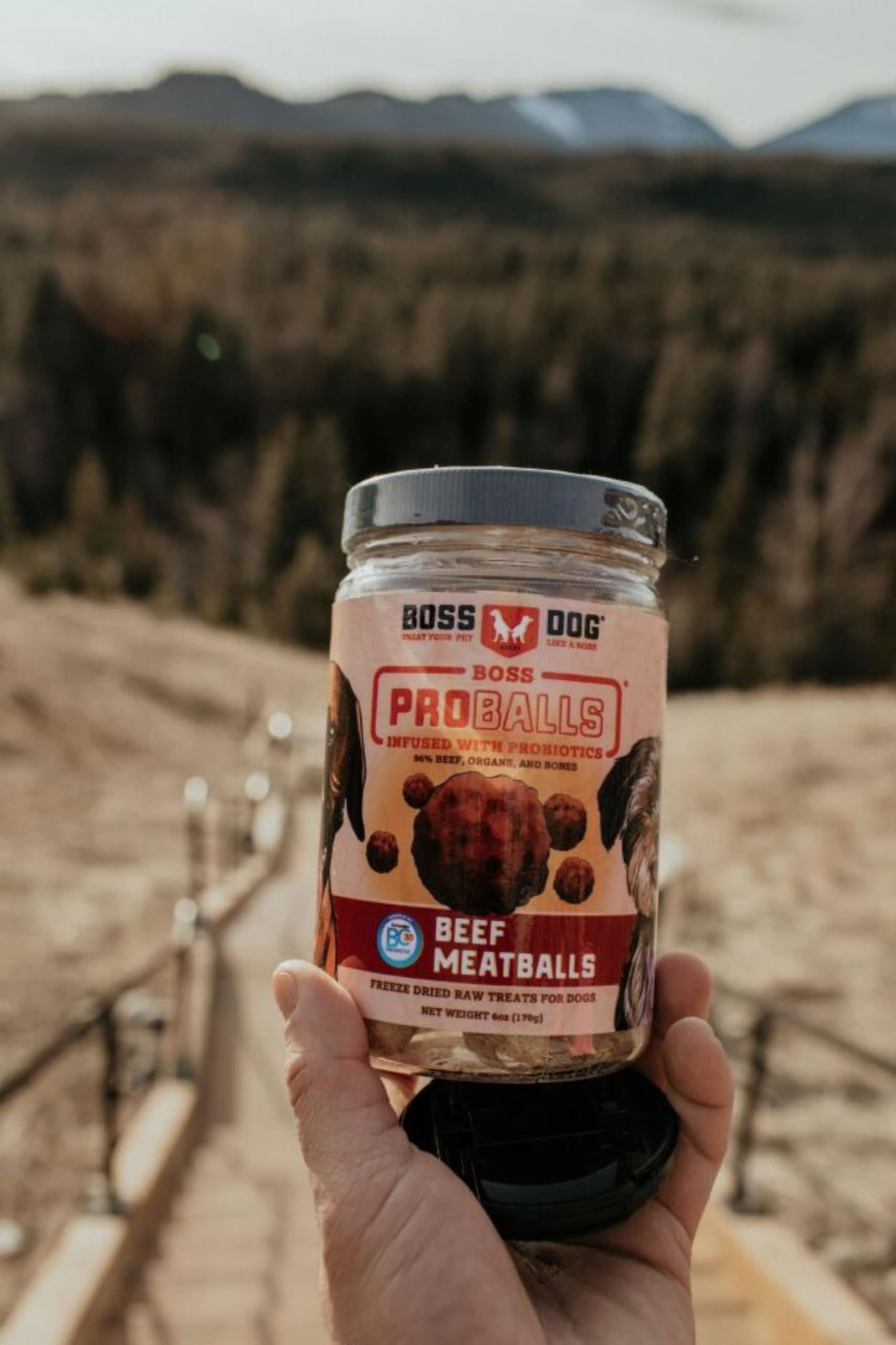 BOSDG PROBAL BEEFMTBL DT ( 1 X 6 OZ   )