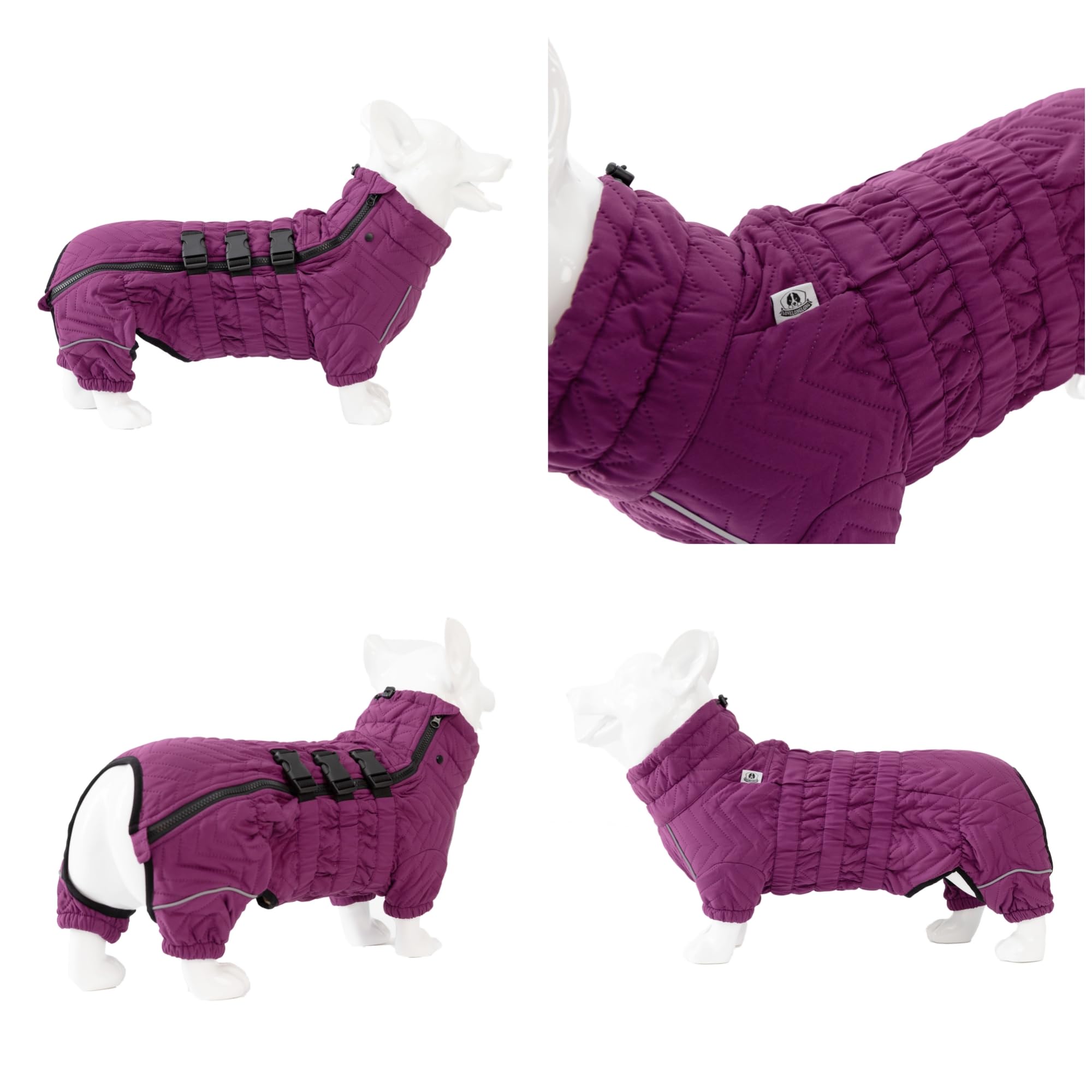 Lovelonglong Dog Coat - Warm Double Layered Vest, Windproof & Waterproof, Size D-S, Purple for Corgis & Dachshunds
