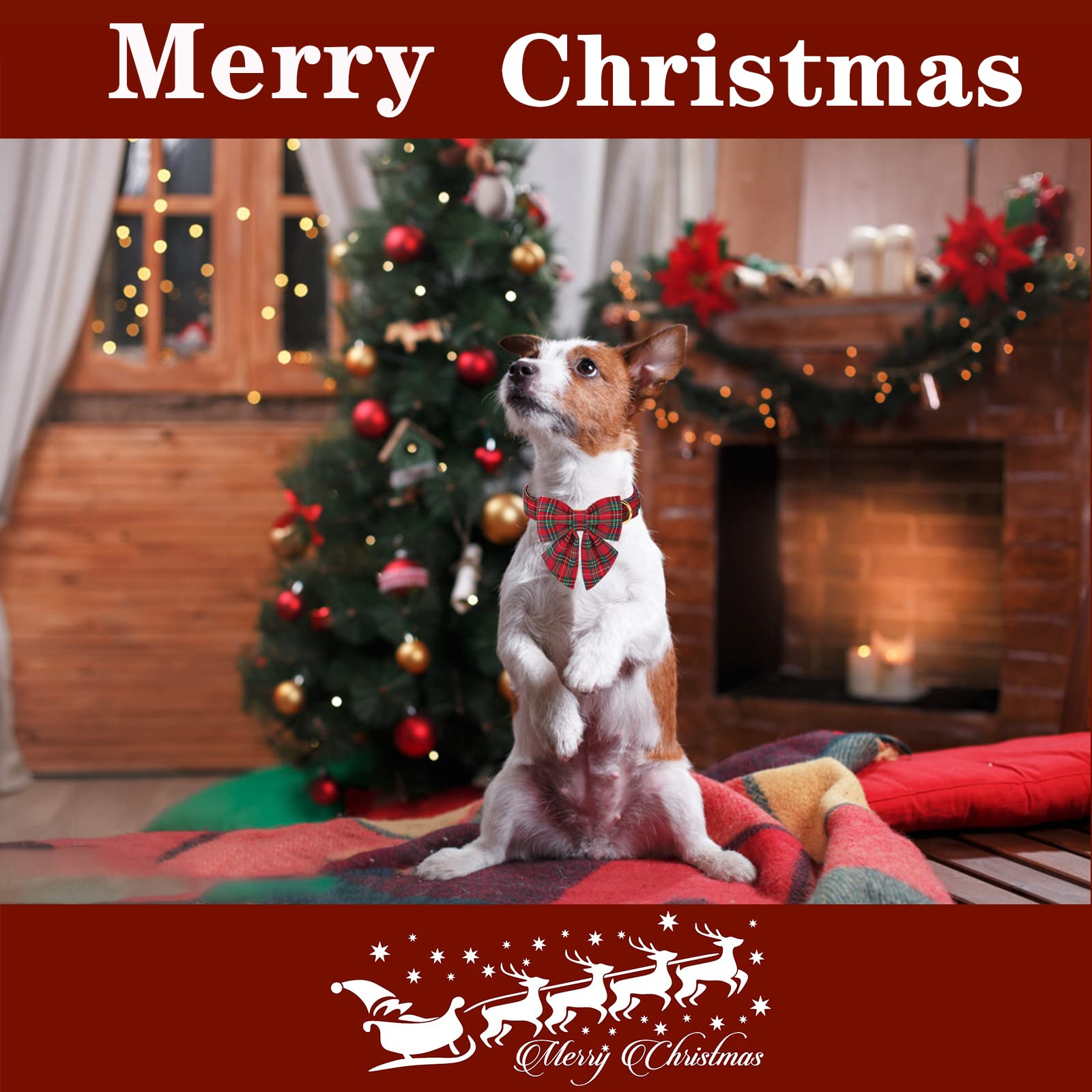 Unique Style Paws Christmas Dog Collar With Bow Tie Scottish Plaid Puppy Collar For Small Medium Large Dogs As Holiday Autumn Winter Gifts-S