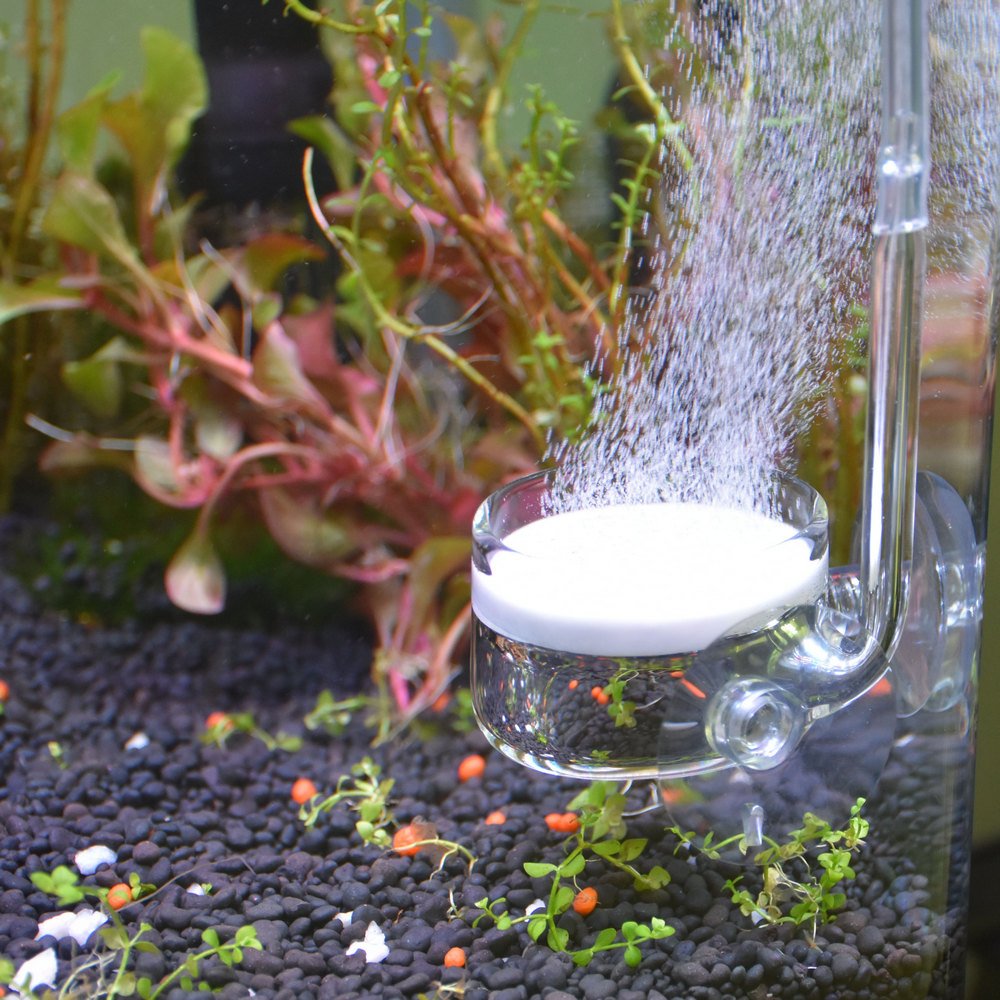 Yagote CO2 Diffuser Glass Reactor with U Shape Connecting Tube for Pollen Aquarium Plants Tank(CO2 Diffuser-Large Flat-Bottomed)