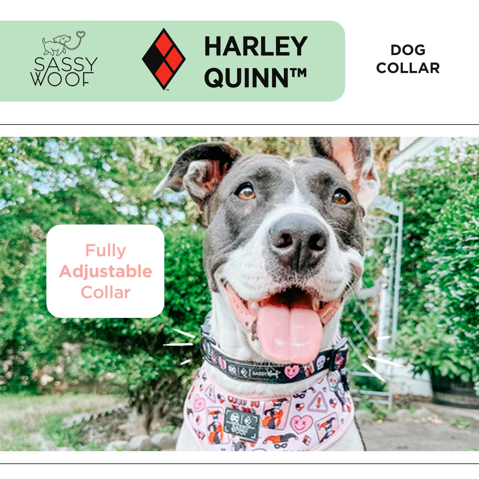 Sassy Woof Dog Collar Harley Quinn - M, Adjustable, Durable, Comfortable And Stylish Pet Accessories For Medium Dogs - Officiall