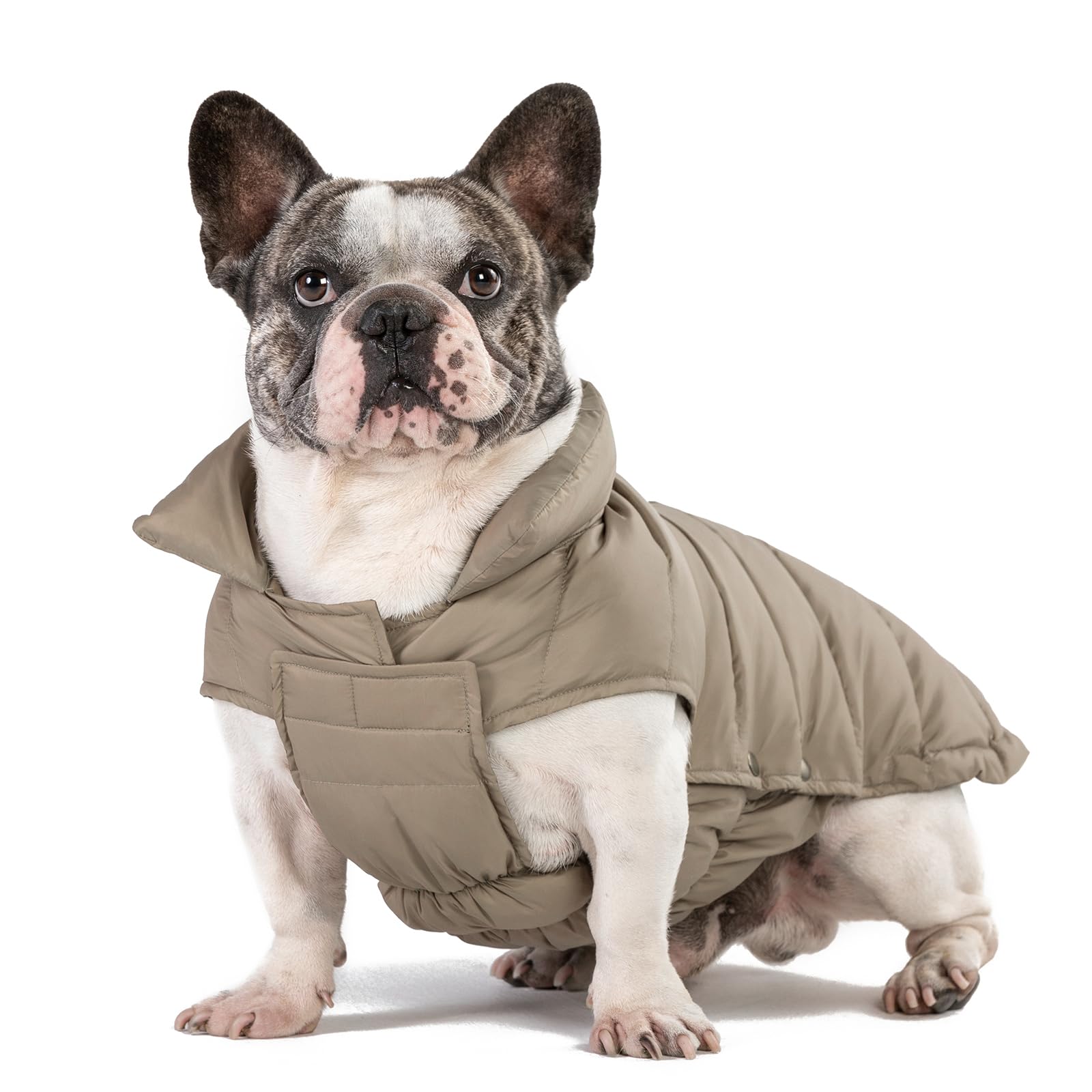 Space Lion Puffer Jacket, Down Winter Coat, Waterproof, Windproof, Lightweight Jacket, Adjustable Fit For Small, Medium, Large D