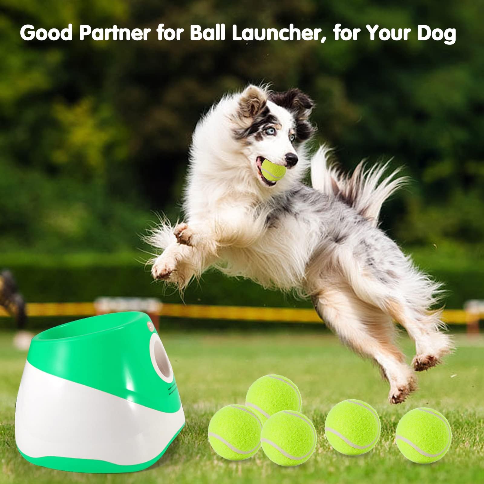 MEKAPLE 12 Pack Mini Tennis Ball for Pet Playing Fecth, 2 inch Dog Training Tennis Balls for Small Size Dogs, Interactive Dogs P