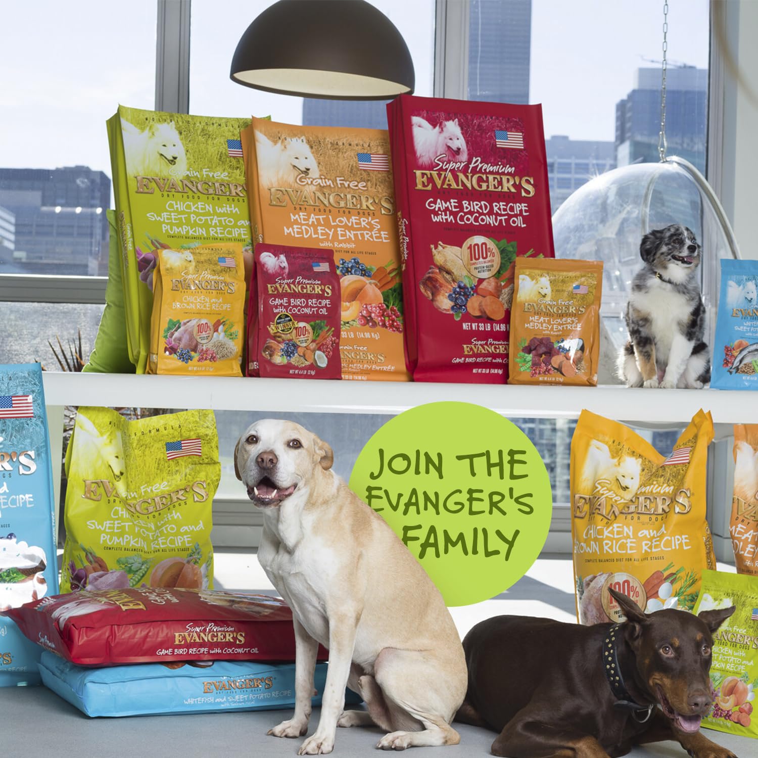 Evangers Grain-Free Chicken with Sweet Potato & Pumpkin Dry Dog Food, 30 lb Bag