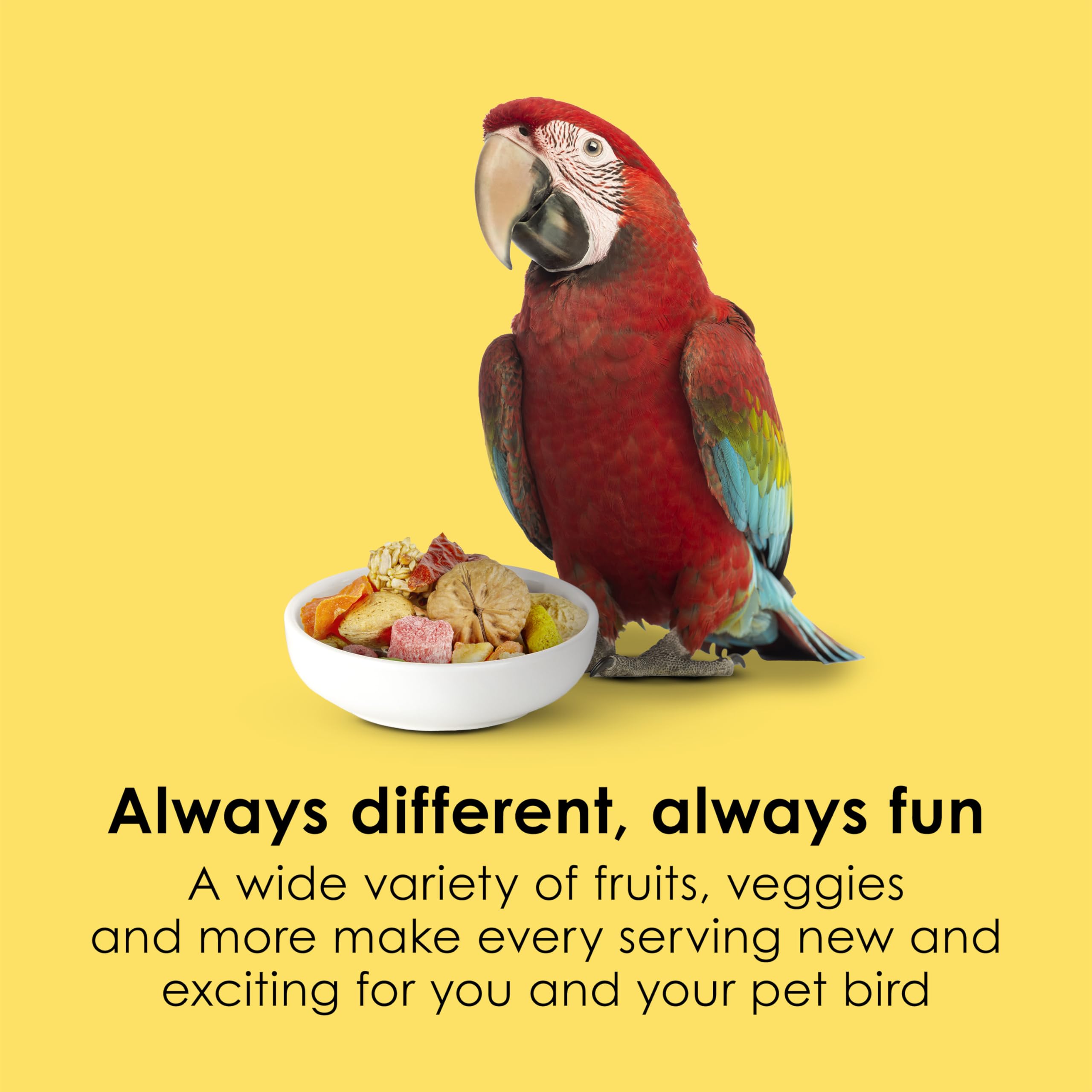 Kaytee Fiesta Big Bites Macaw Food, Nutritious and Fun Blend, Supports Skin, Feather, Digestion, Brain and Heart Health, 10 poun