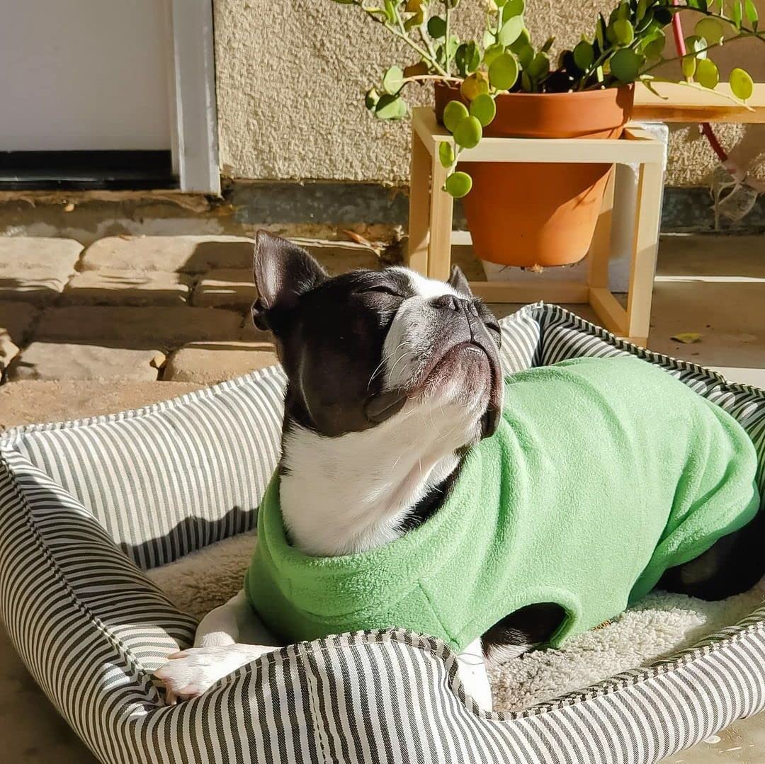 Gooby - Stretch Fleece Vest, Pullover Fleece Vest Jacket Sweater for Dogs, Grass Green, 2X-Large
