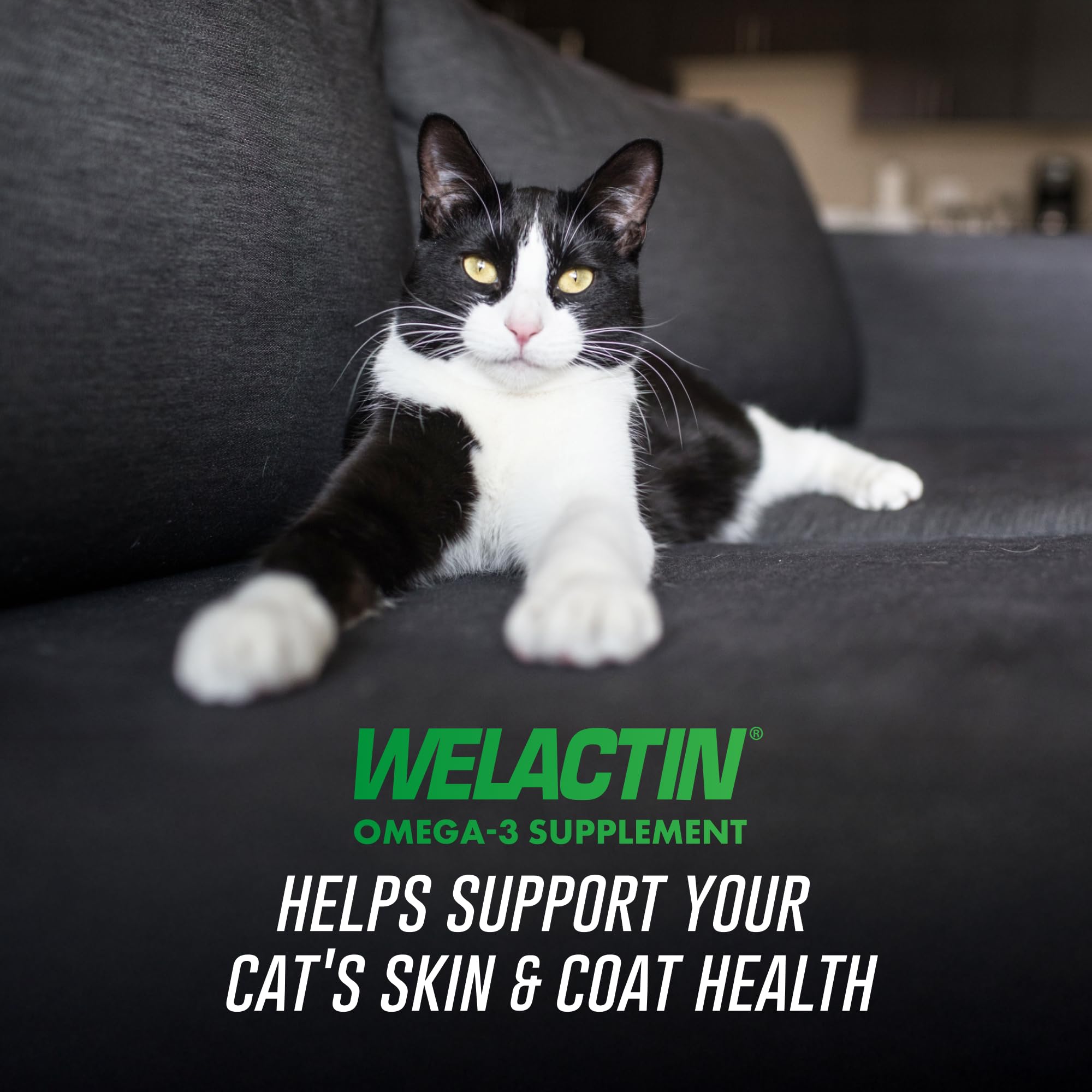 Nutramax Welactin Omega-3 Fish Oil Skin and Coat Health Supplement Liquid for Cats - 4 Ounce