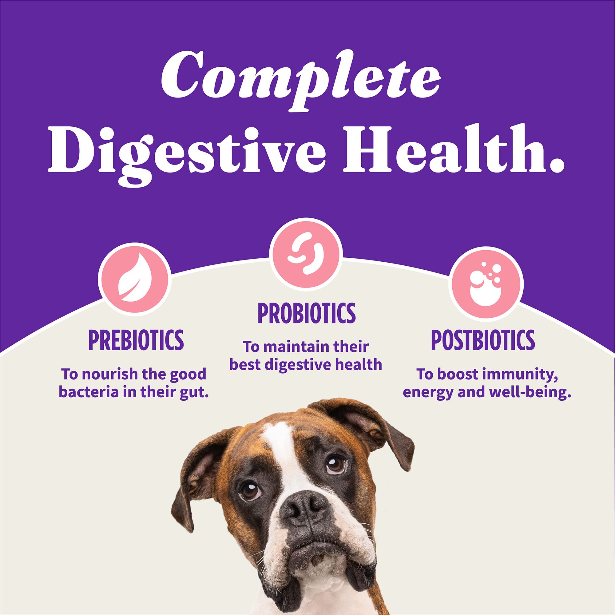 Halo Holistic Dog Food Wild Caught Salmon & Whitefish Formula, Healthy Grains Dry Dog Food, Complete Digestive Health, Kibble fo