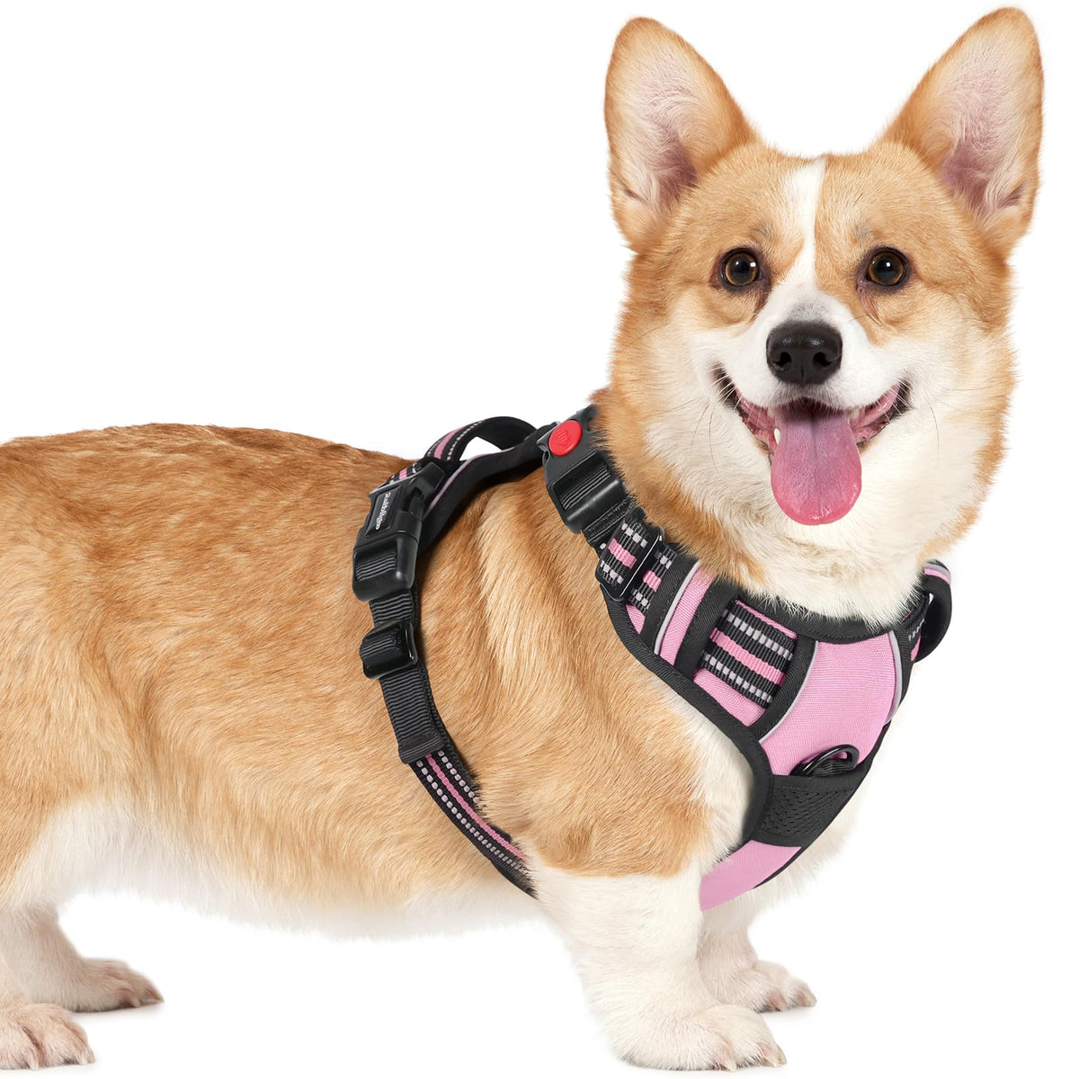 Rabbitgoo Dog Harness Small Sized, No Pull Pet Harness With 3 Buckles, Adjustable Soft Padded Pooch Vest With Instant Control Handle, Easy Walking Reflective Pet Vest For Small Dogs, Pink, S