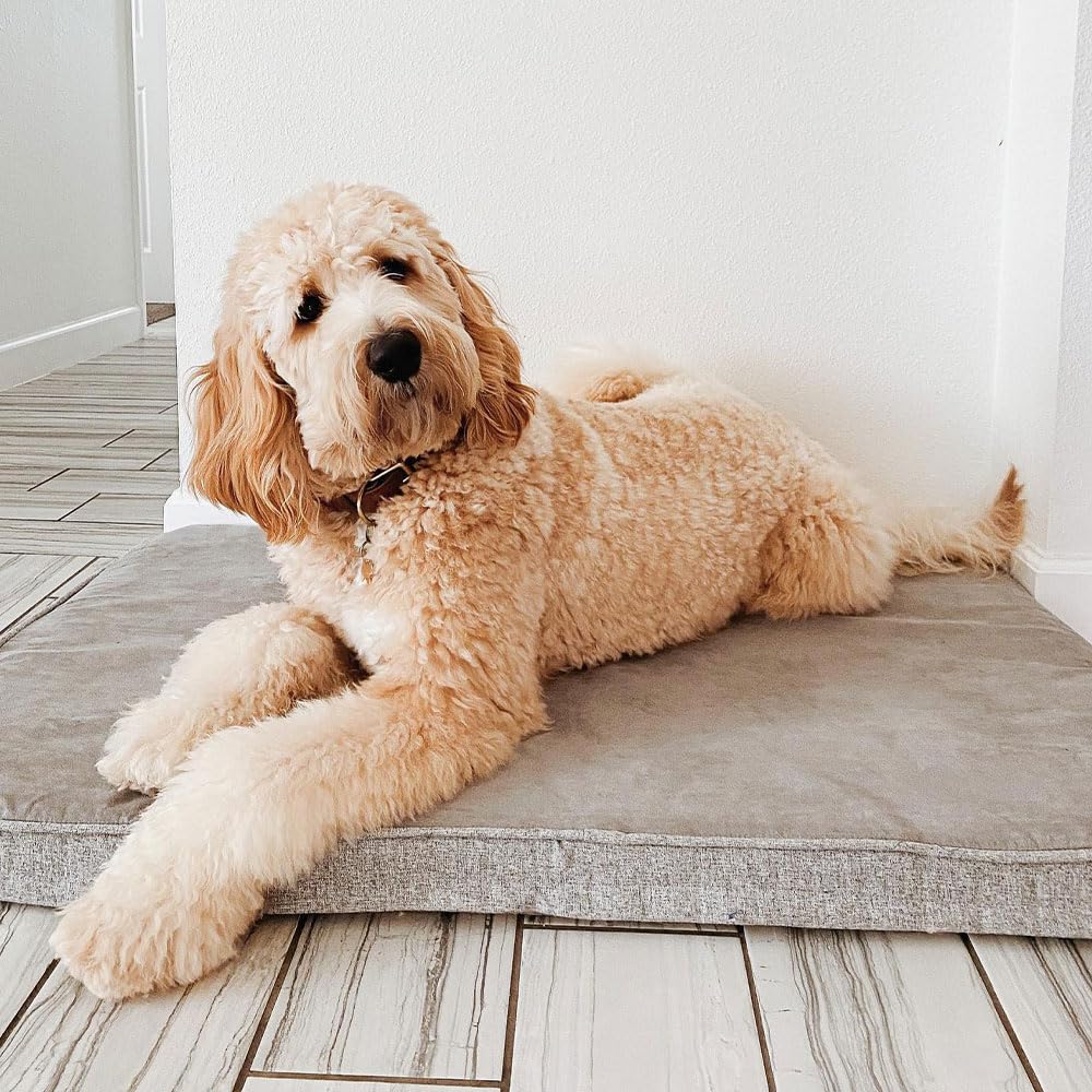 Diggs Snooz Memory Foam Dog Bed - Ideally Sized Revol Dog Crate Pad - Premium Orthopedic Pet Bed For Crate Or Home - Grey, Inter