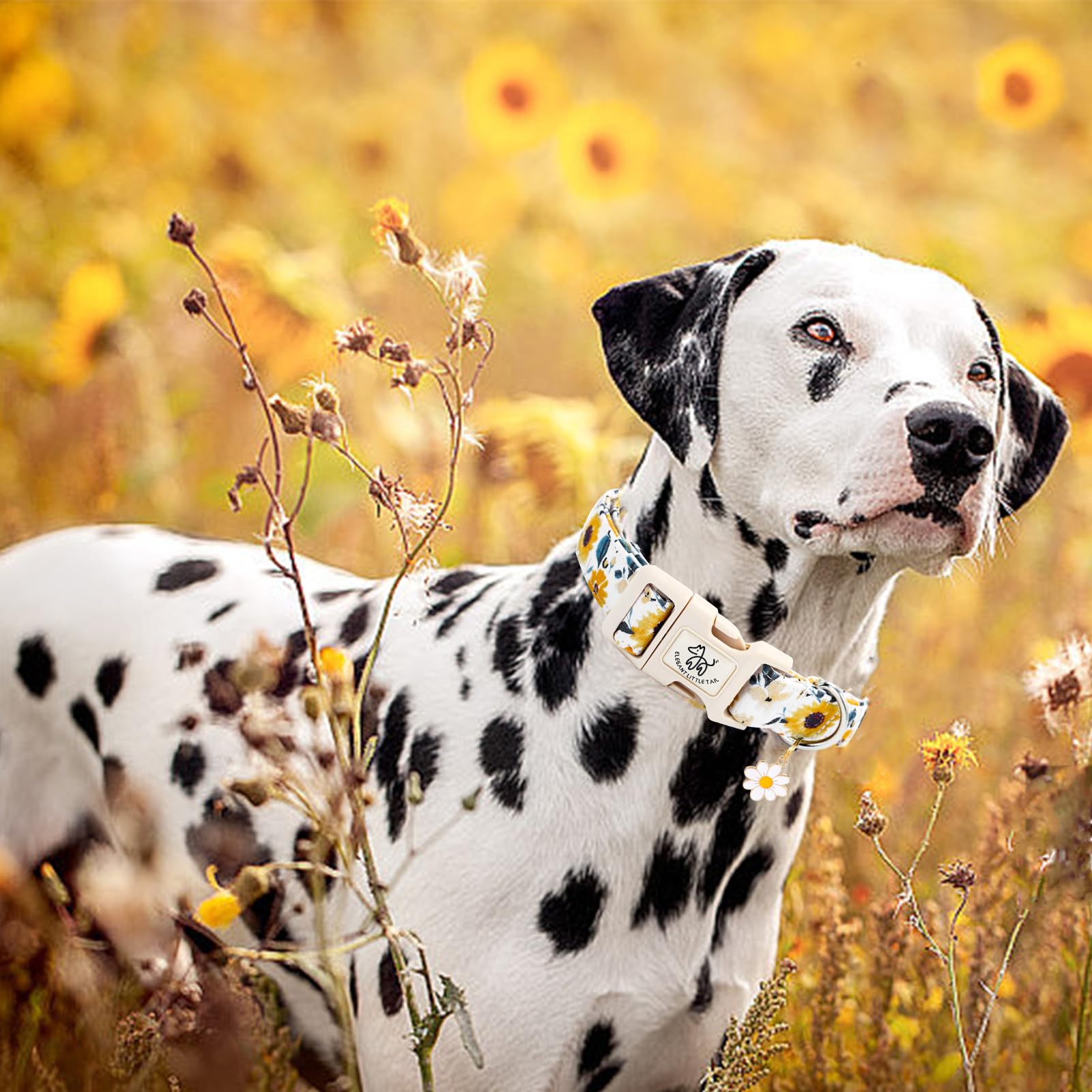 Elegant Little Tail Dog Collar, Sunflower Pattern Pet Collar Cute Durable Spring Female Or Male Adjustable Cotton Pet Collar Wit