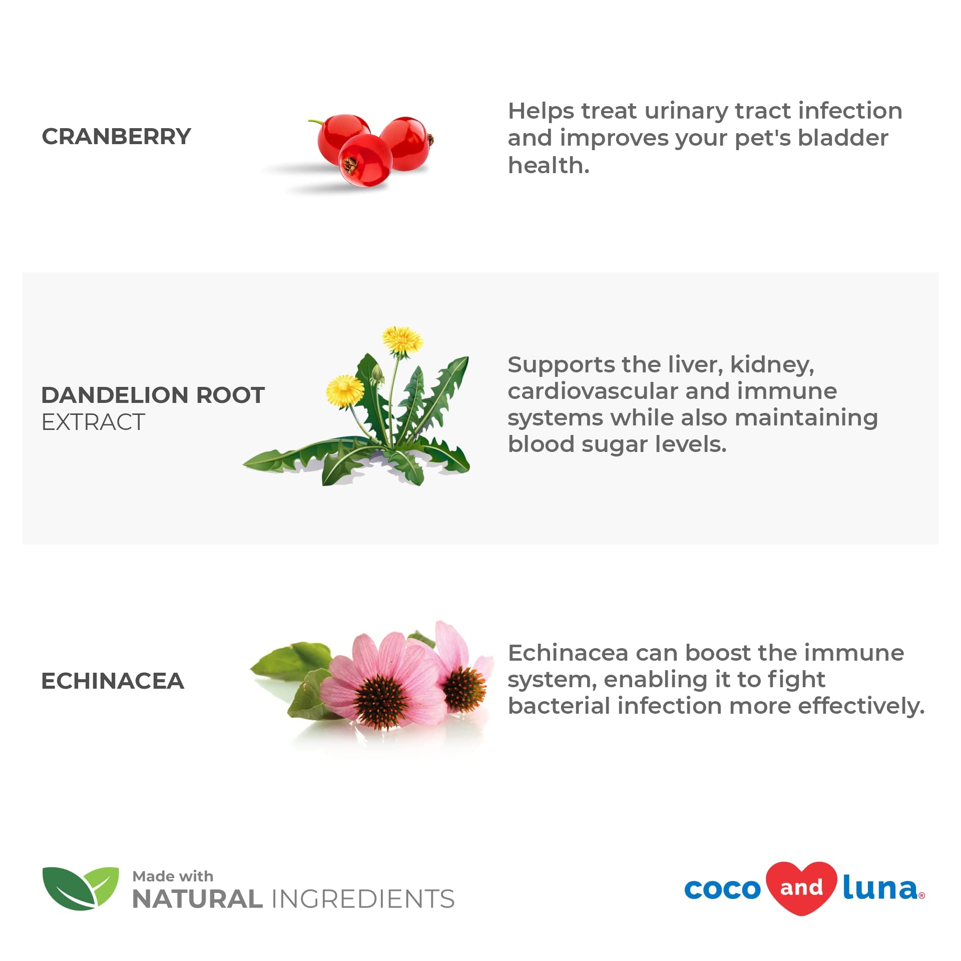 Cranberry For Dogs - Urinary Tract Support, Bladder Health, Dog Uti, Bladder Stones, Incontinence Support (Liquid For Dogs)