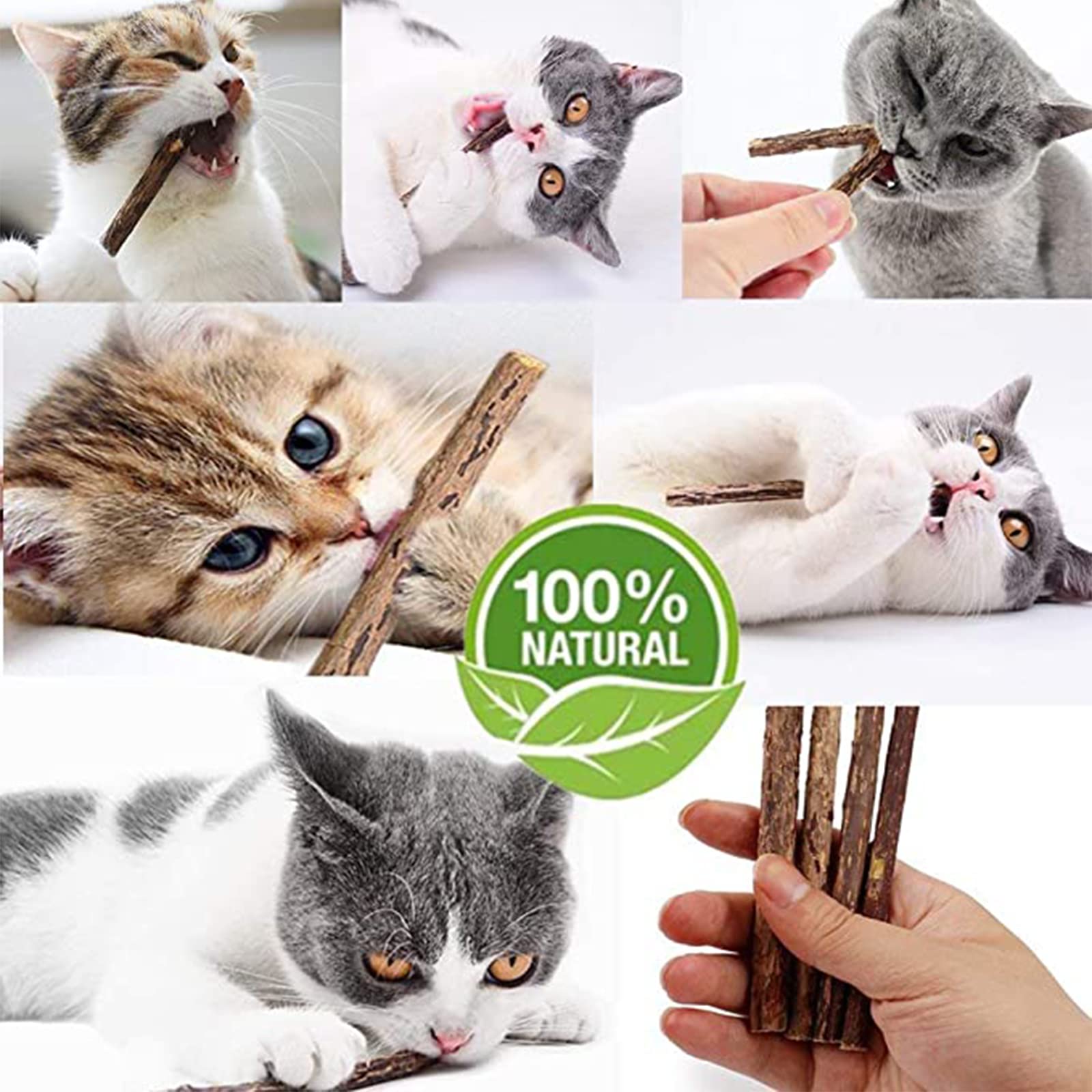 Ueerdand 50 Pcs Catnip Sticks Organic Cat Chew Toys Natural Plant Matatabi Silvervine Chew Sticks Cat Teeth Cleaning Chew Toy Cat Kitten Kitty