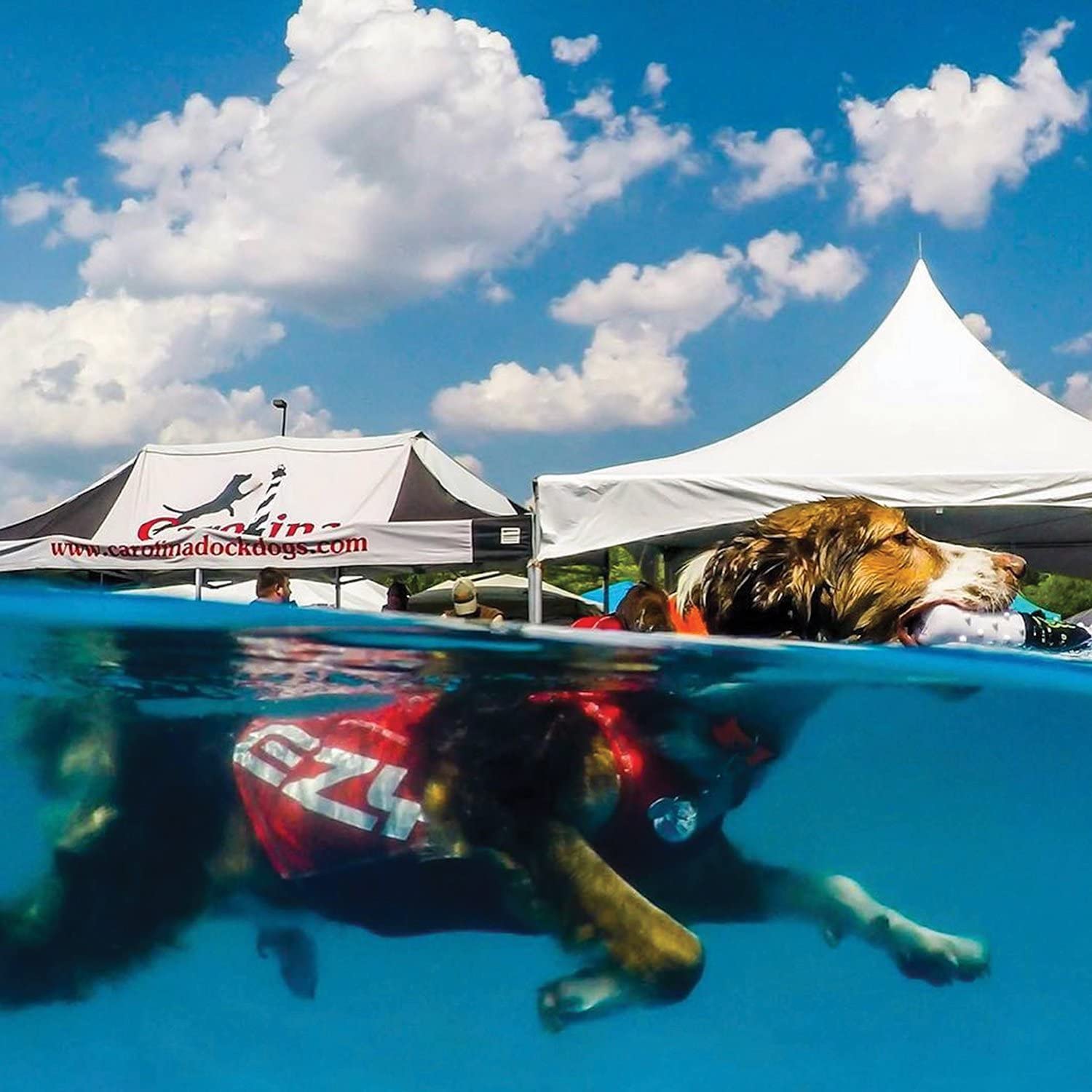 Ezydog Rashguard Vest - Premium Dog Shirt Allowing All-Day Water Use - Tested To Provide 50+ Uv Protection - Innovative Design For A Snug, Comfortable Fit (X-Large, Red)