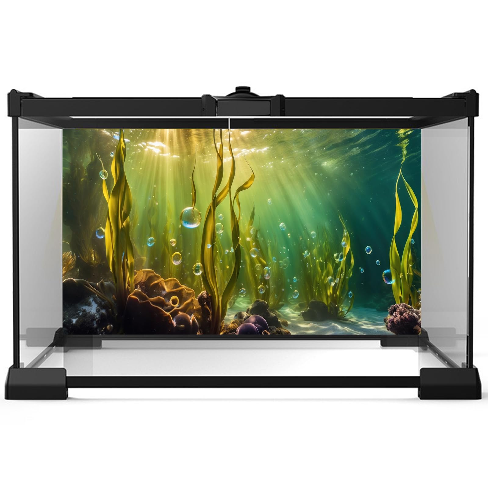 Aquarium Background Underwater Beautiful Coral Reef with Seaweed Bubbles Terrarium Backdrop Aquatic Plants Sunlight Rays Fish Ta