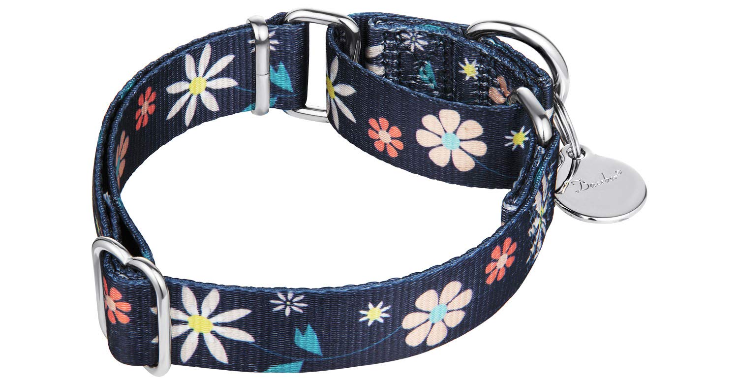 Dazzber Puppy Dog Collar Floral Print Martingale Collar - No Pull Pet Collar, Heavy Duty Adjustable Dog Collar, Extra Small, Nec