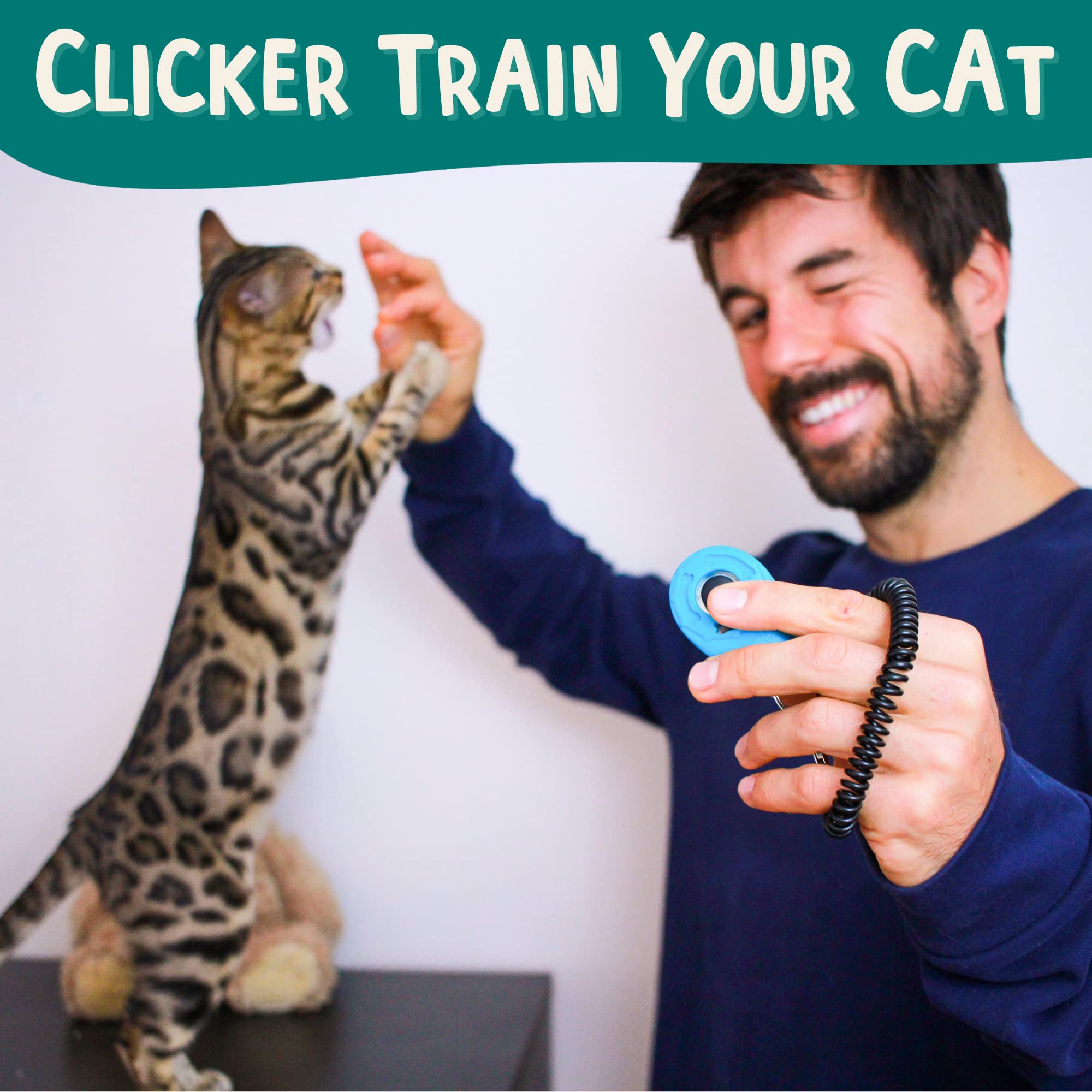 Outdoorbengal The Click Crusade (Cat Training Card Game Guide To Clicker Training For Cats For Teaching Tricks, Improving Communication And Bonding With Your Kitten (Clicker Not Included)