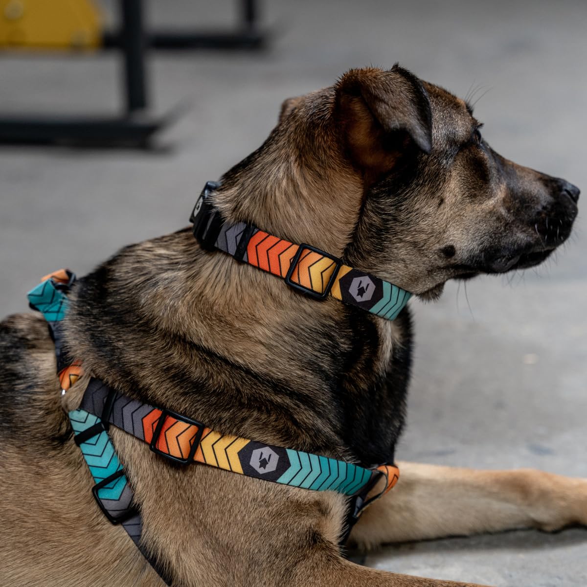 Wolfgang Heavy Duty Martingale Dog Collar With Quick Release Nylon Buckle For Walking & Training, Chevtech Print, Medium