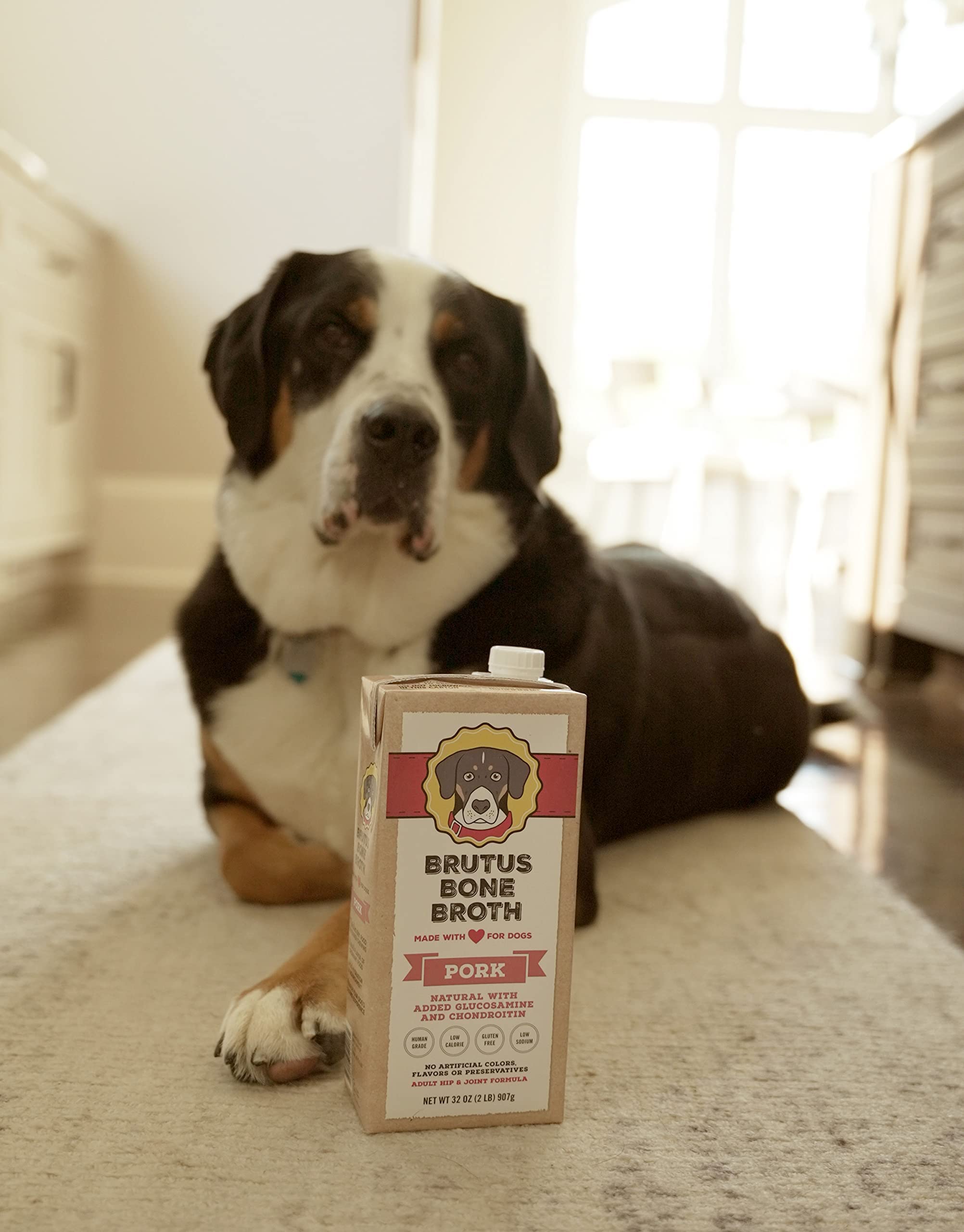 Brutus Bone Broth for Dogs | All Natural | Made in USA | Glucosamine & Chondroitin for Healthy Joints | Human Grade Ingredients