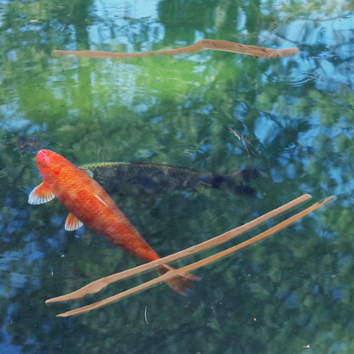 Balacoo Natural Driftwood Branches For Aquarium Fish Tank Decoration