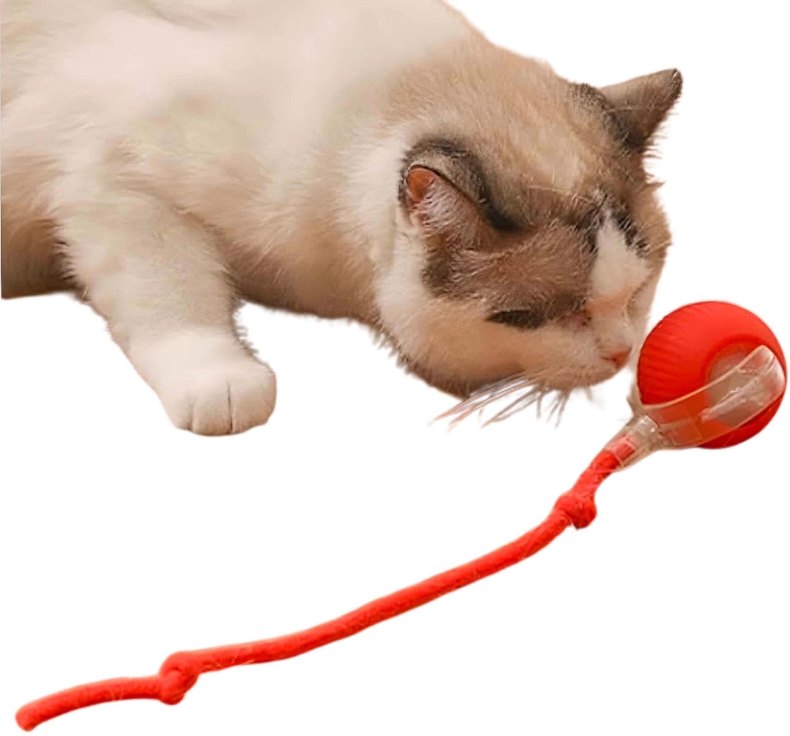 The Demon Closet Cat Toy Ball With Tail Rope, Smart Rolling Ball, Led Light, Electric SelfRolling Pet Toy, Interactive Jumping 