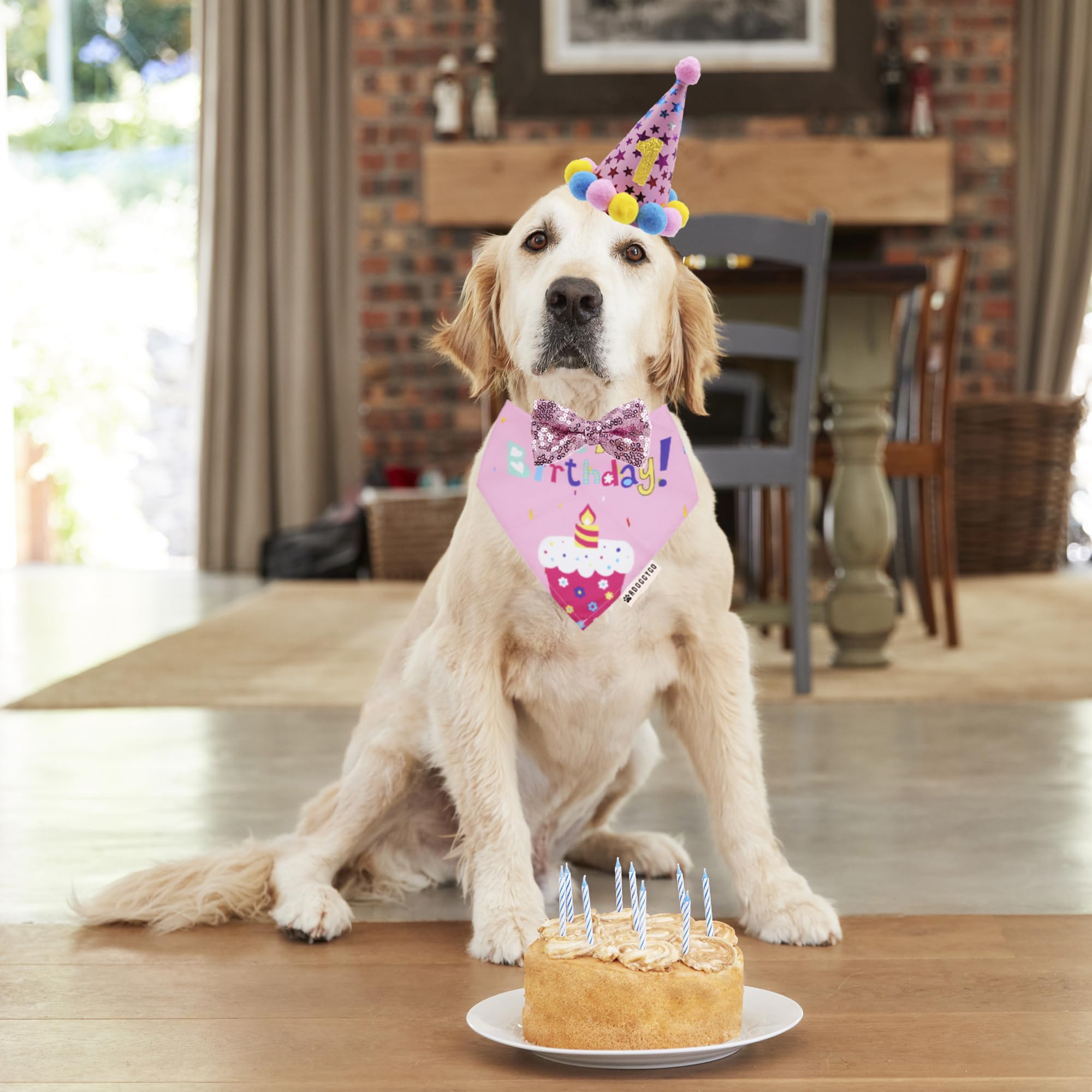 Adoggygo Dog Birthday Bandana Scarf And Dog Girl Birthday Party Hat With Cute Bow Tie For Extra Large Dogs Pets (X-Large)