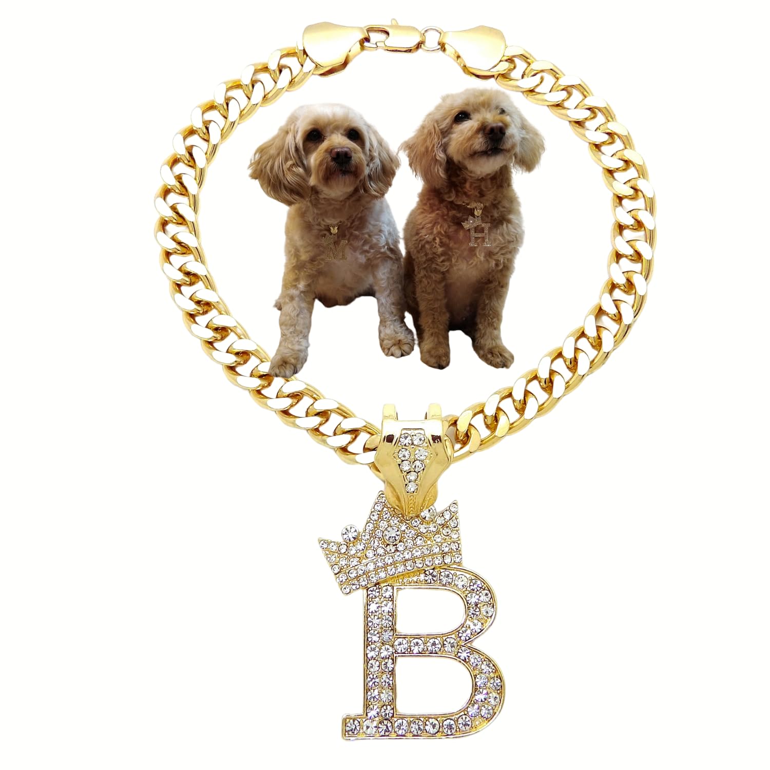Ba Unique Fashion Initial Letter Cuban Chain Dog Chain Pet Chain Pet, Cat, Puppy Necklace (B, 14'')
