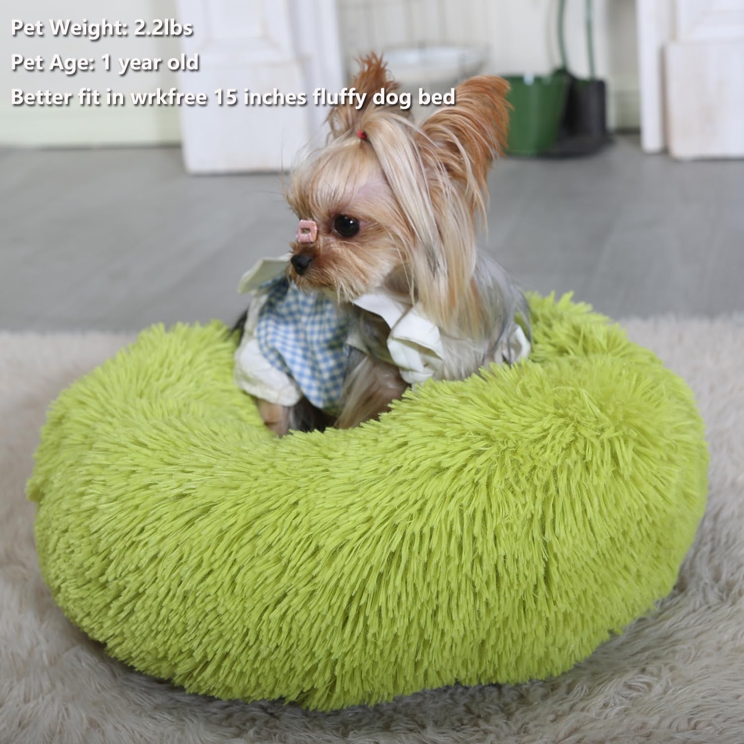 Extra Small Dog Bed Green Washable 15 inches Donut Soft Small Pet Bed,Calming Anti Anxiety Round Fits up to 5 lbs Warm Comfort P