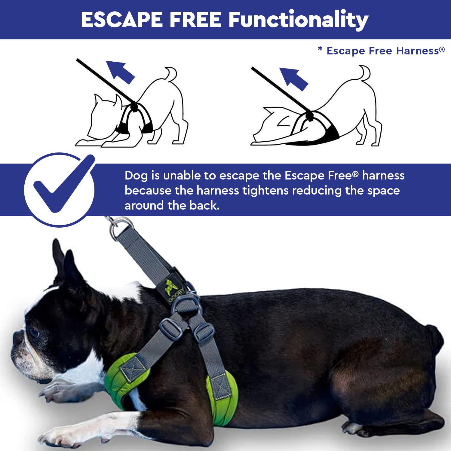 Gooby Escape Free Memory Foam Harness - Blue, Medium - No Pull Step-In Small Dog Harness With Four Point Adjustment - Perfect On